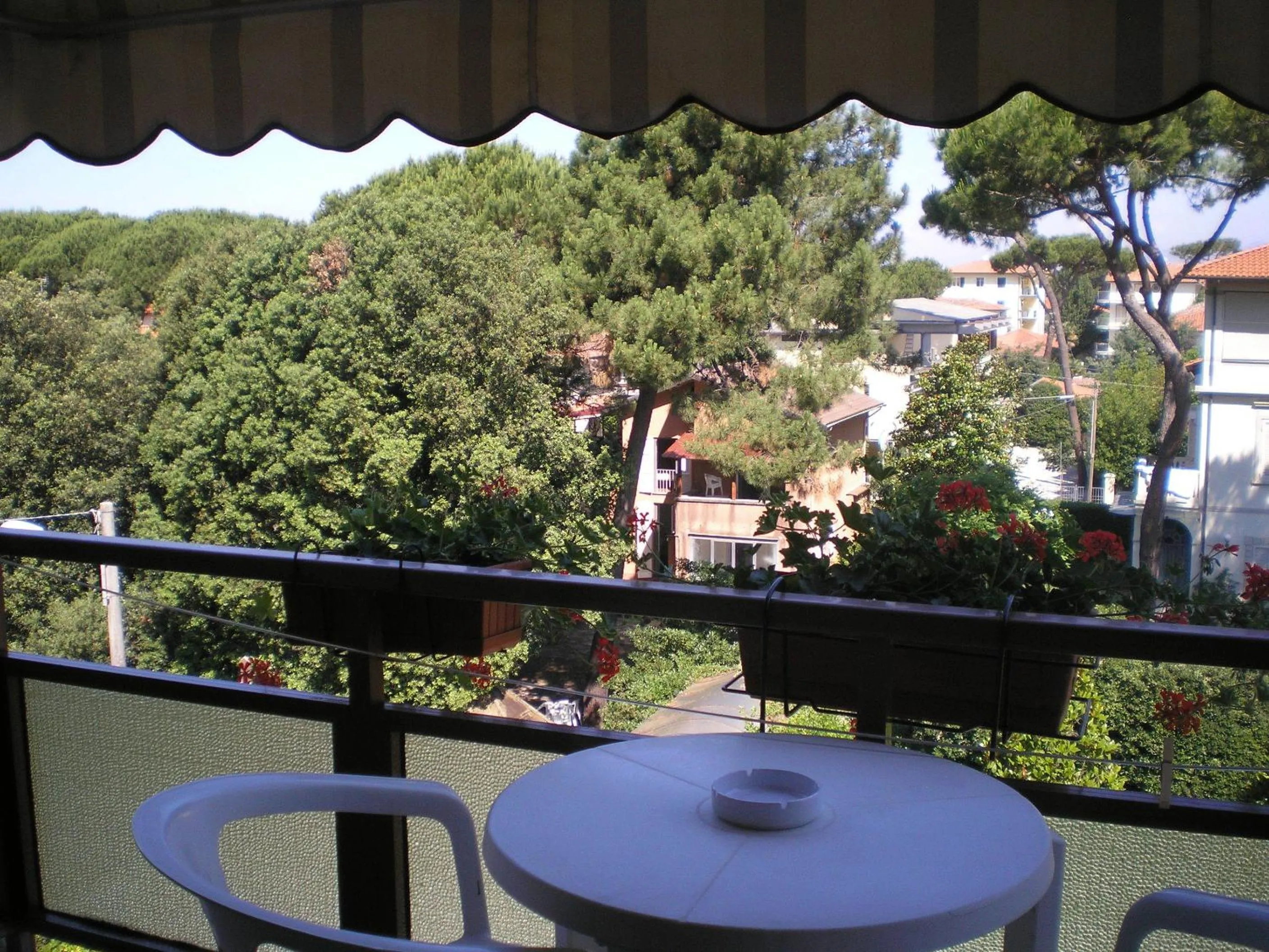 Day in Hotel Elizabeth