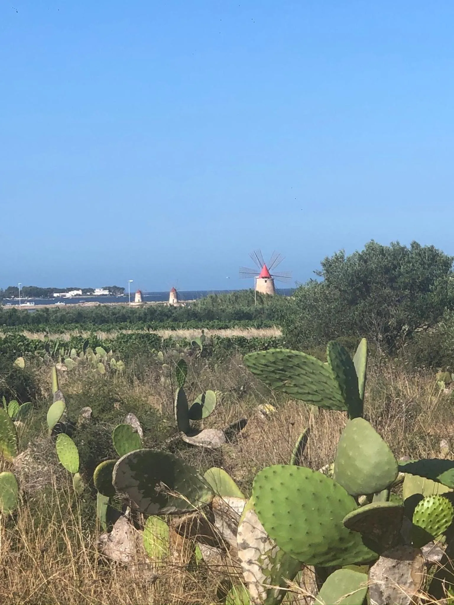 Nearby landmark in Villa Margherita