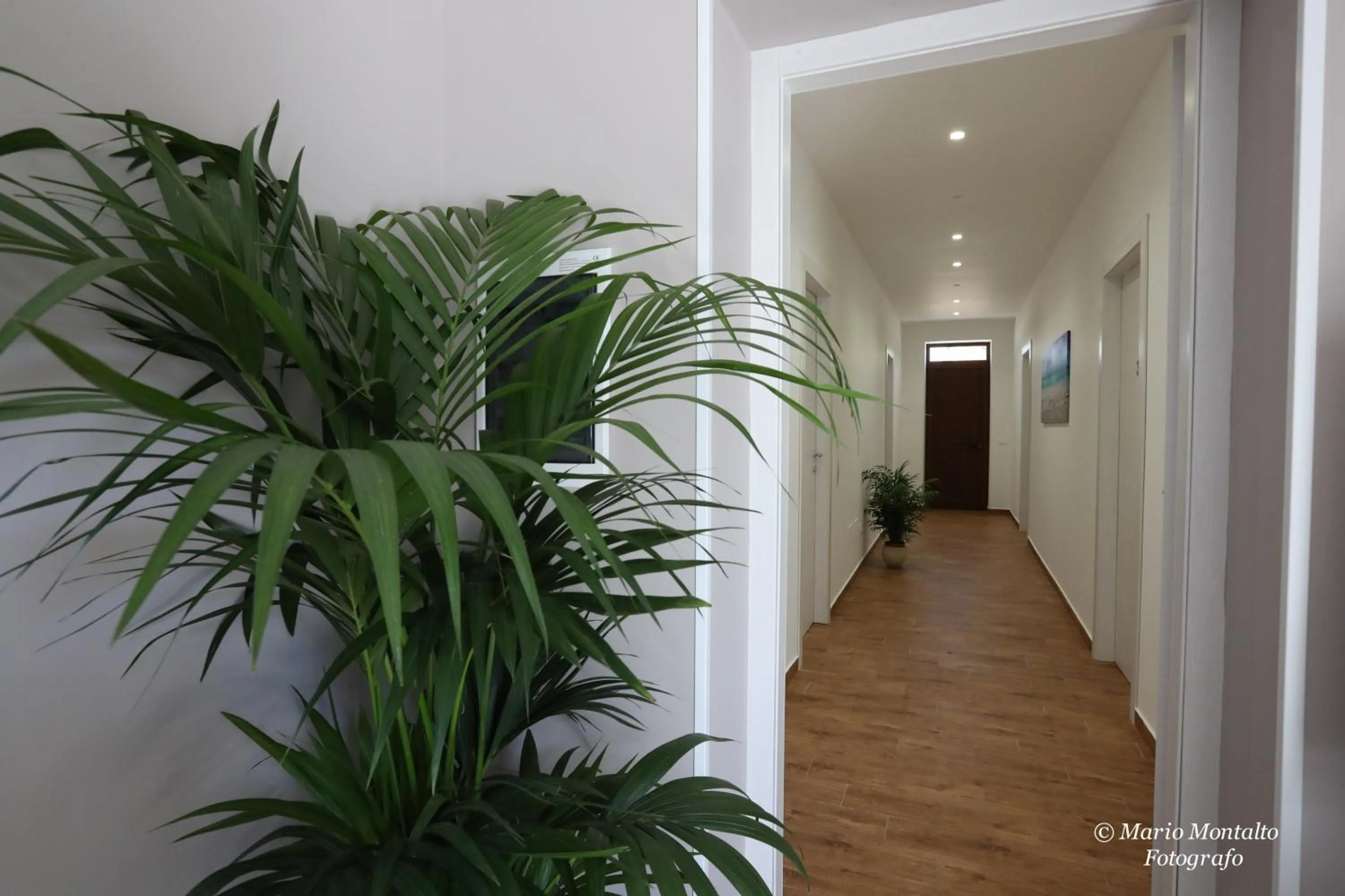 Other in Villa Margherita