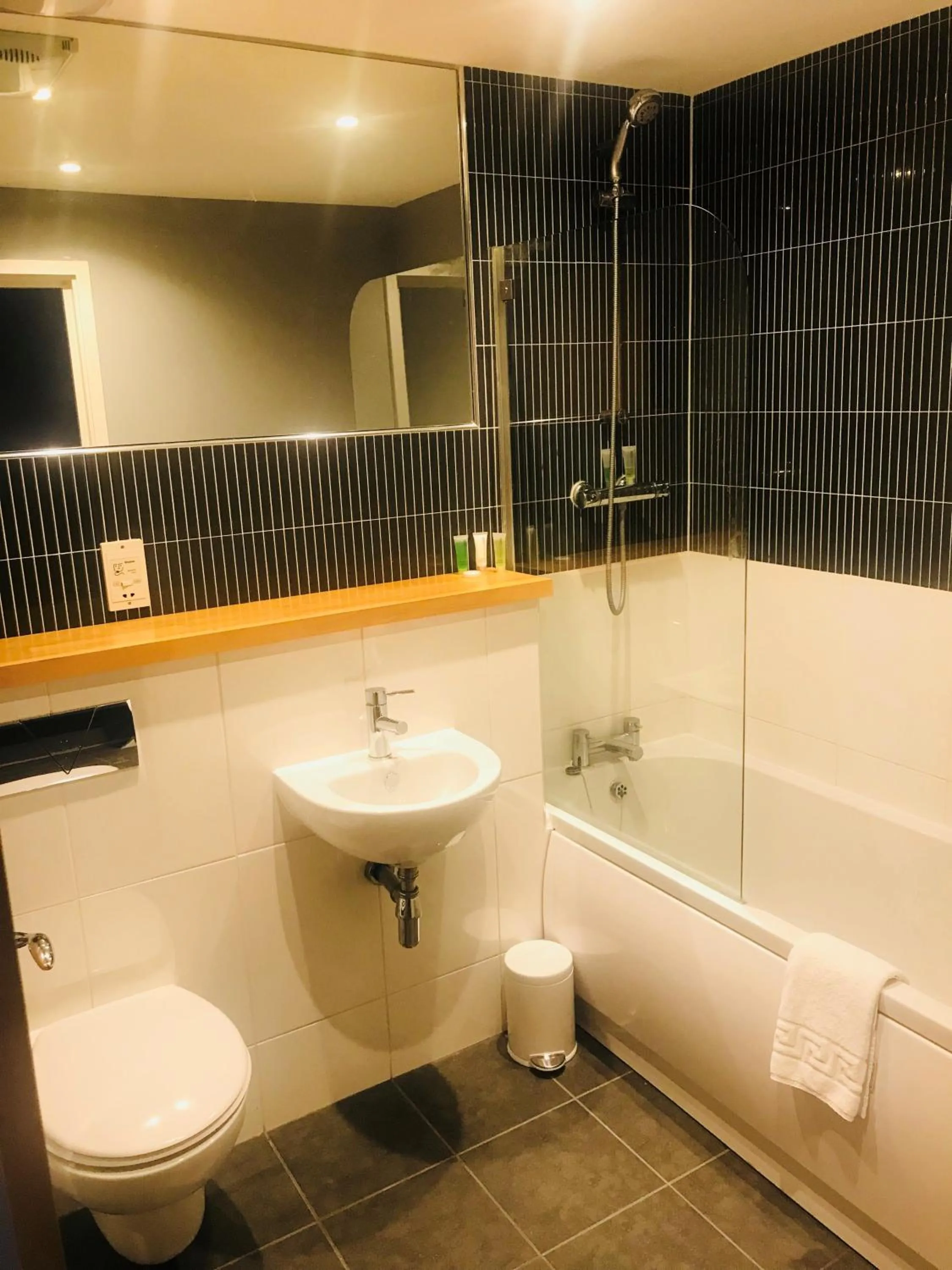 Bathroom in Ice House Apartments