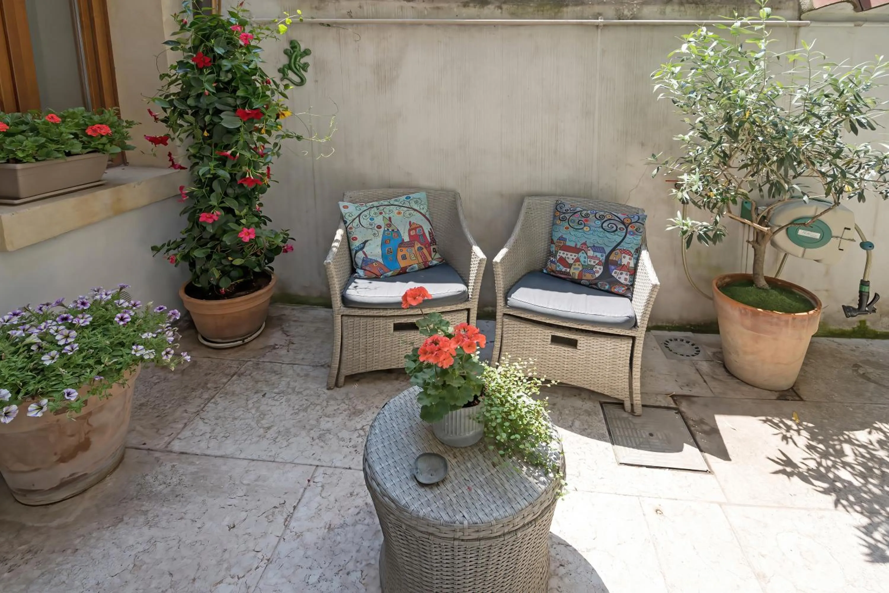 Garden in Veronetta House