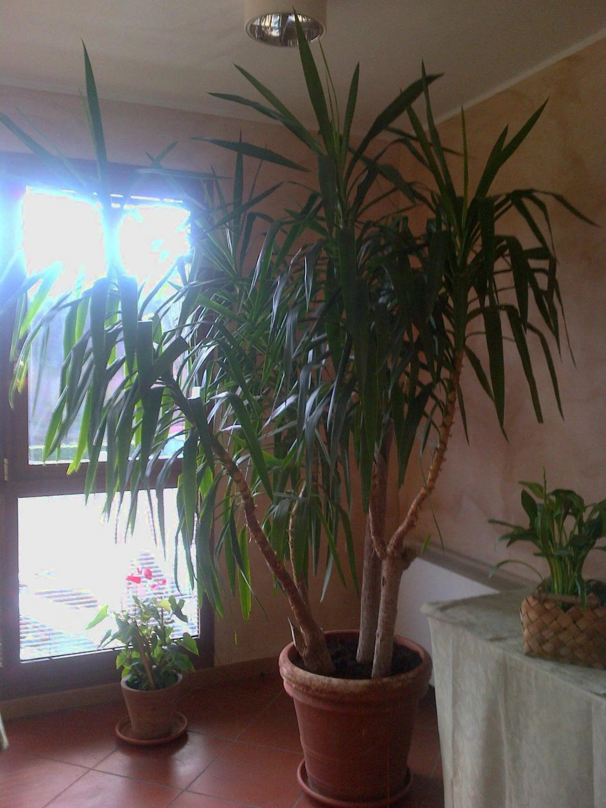 Decorative detail in Hotel Barberino