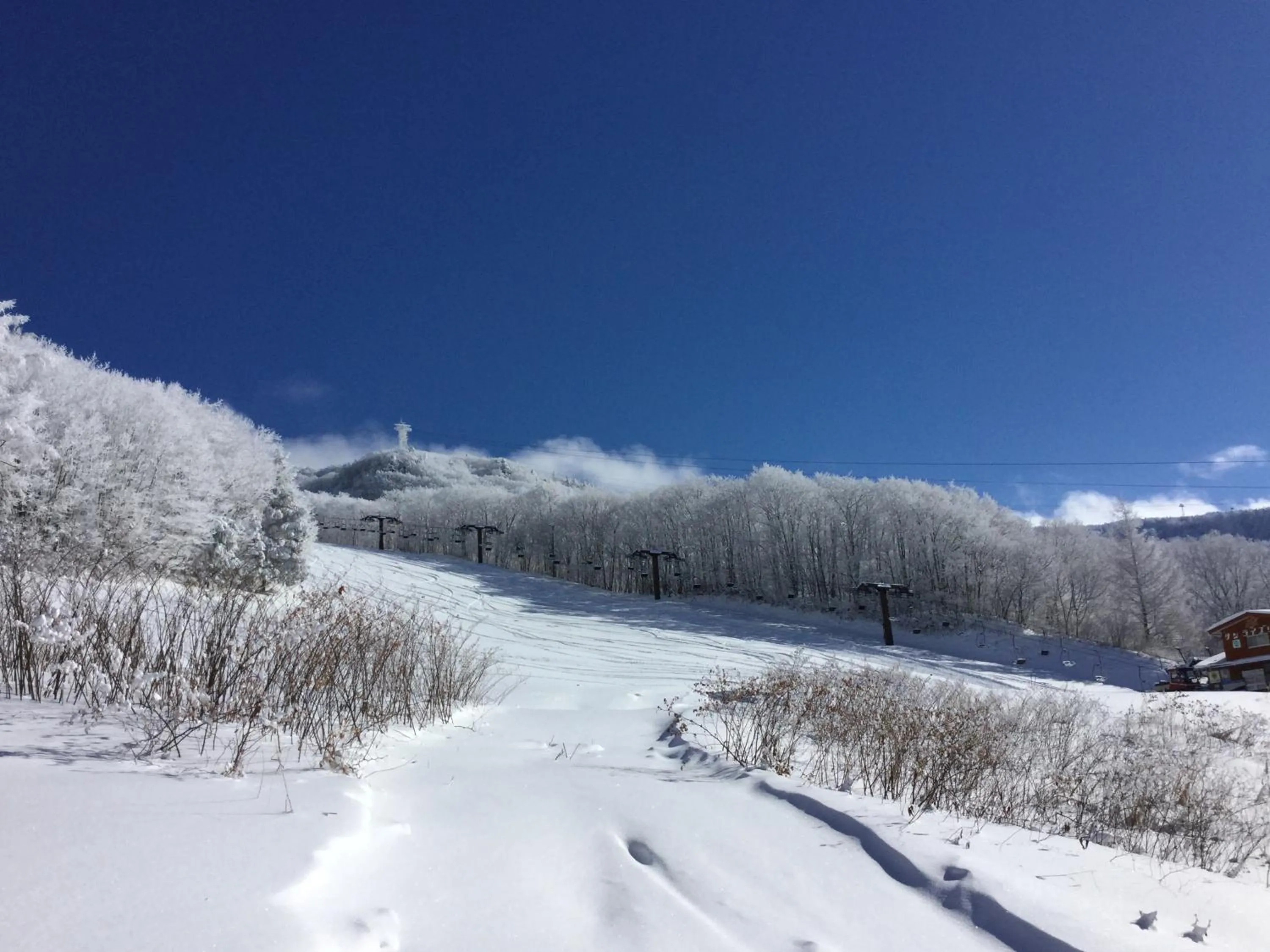 Lodge Christmas Rose Zao