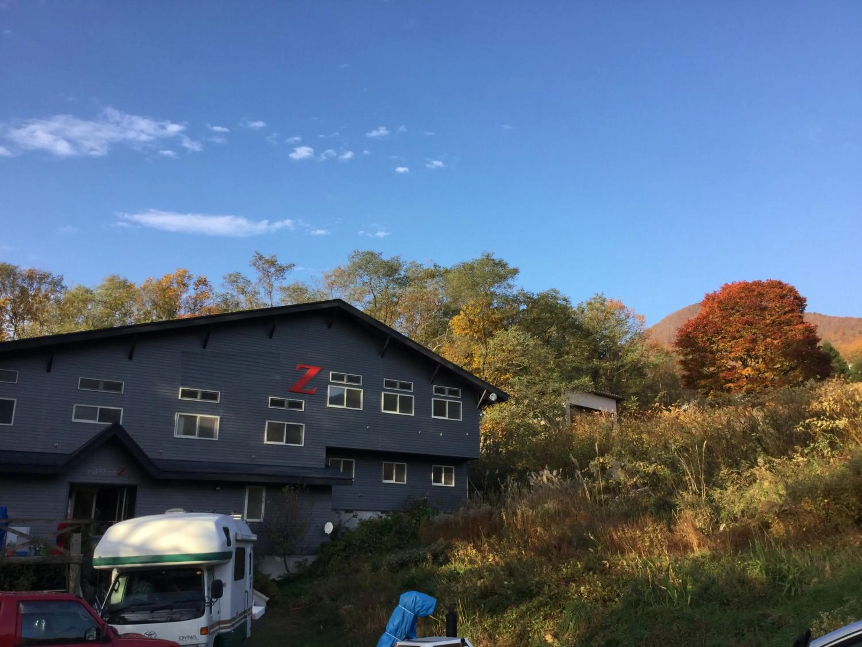 Lodge Christmas Rose Zao