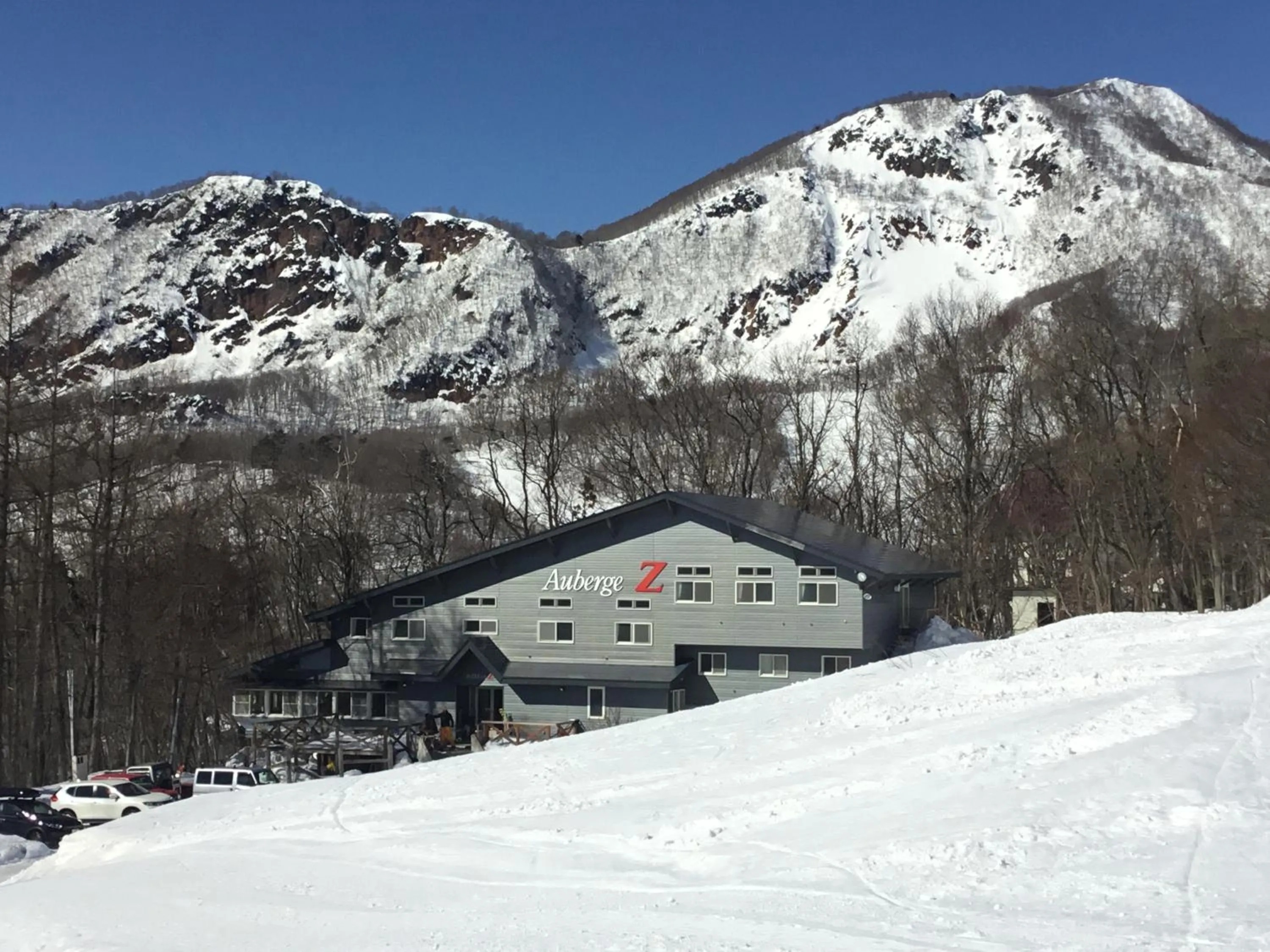 Lodge Christmas Rose Zao