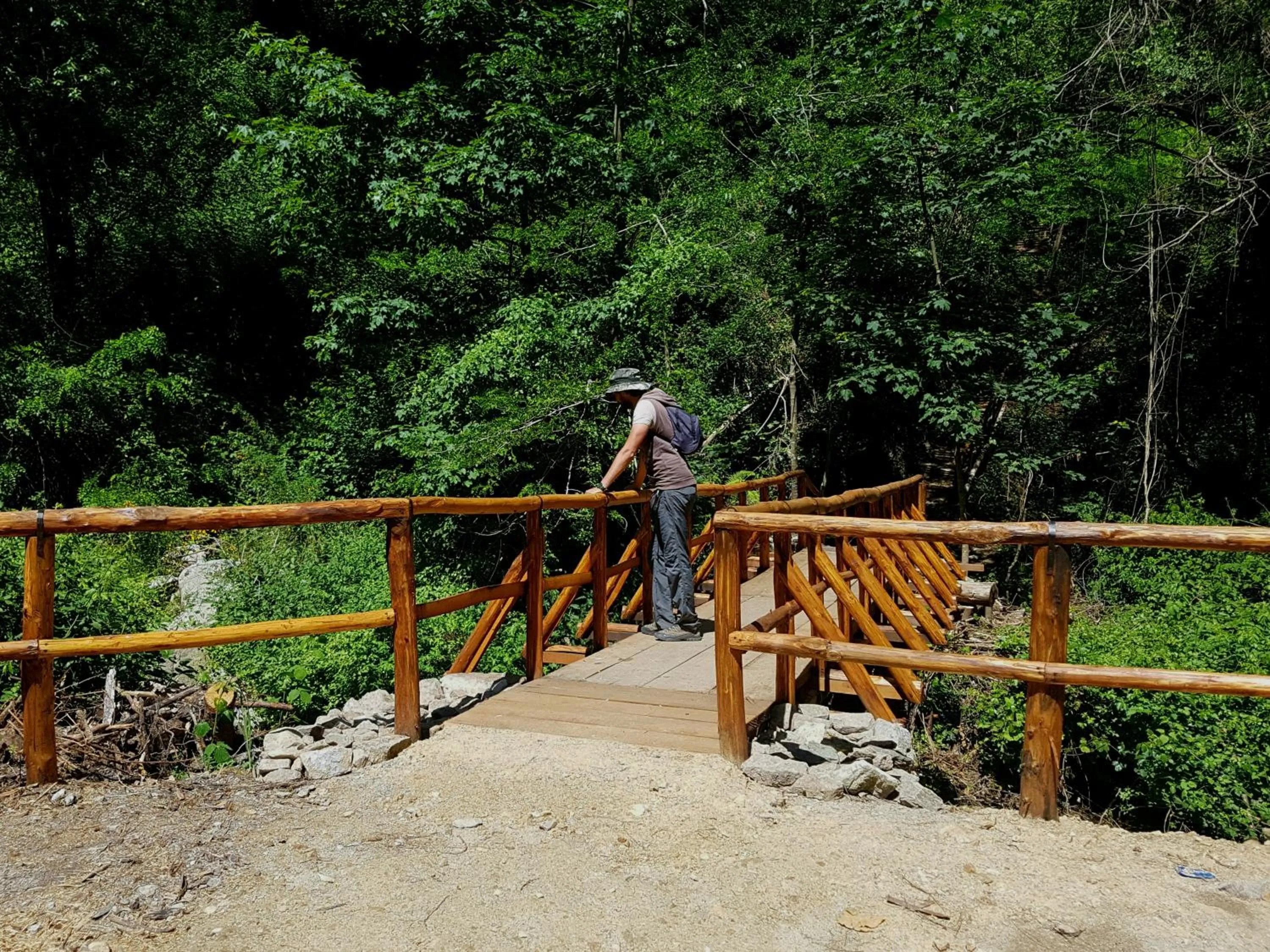 Natural landscape in Park Hotel Bellavista