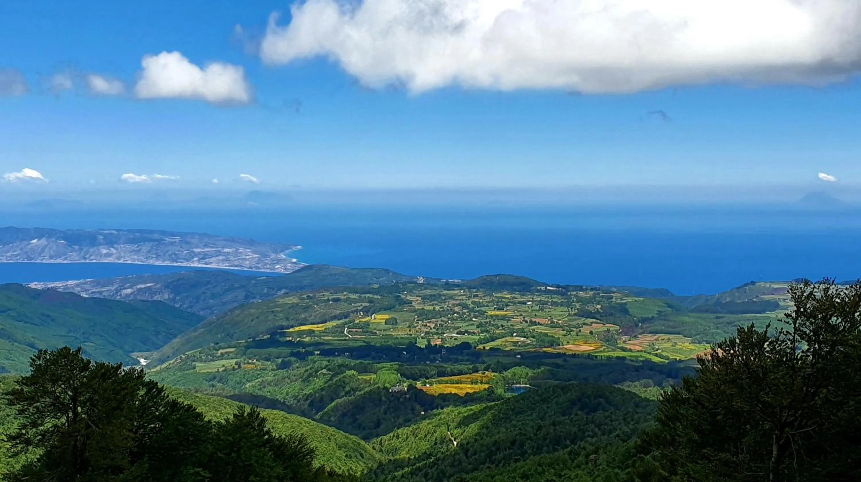 Natural landscape in Park Hotel Bellavista