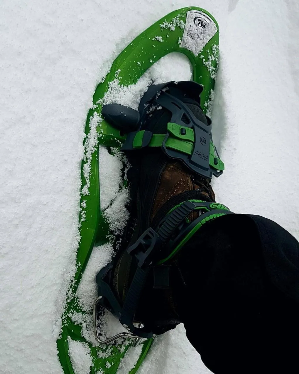 Activities in Park Hotel Bellavista