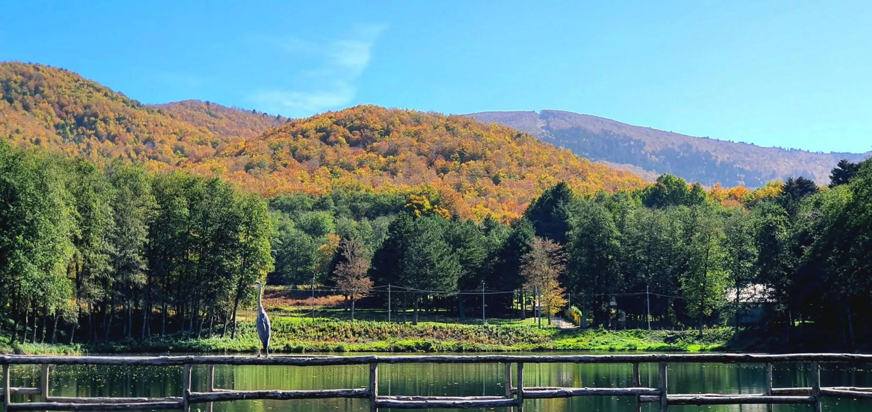 Natural landscape in Park Hotel Bellavista