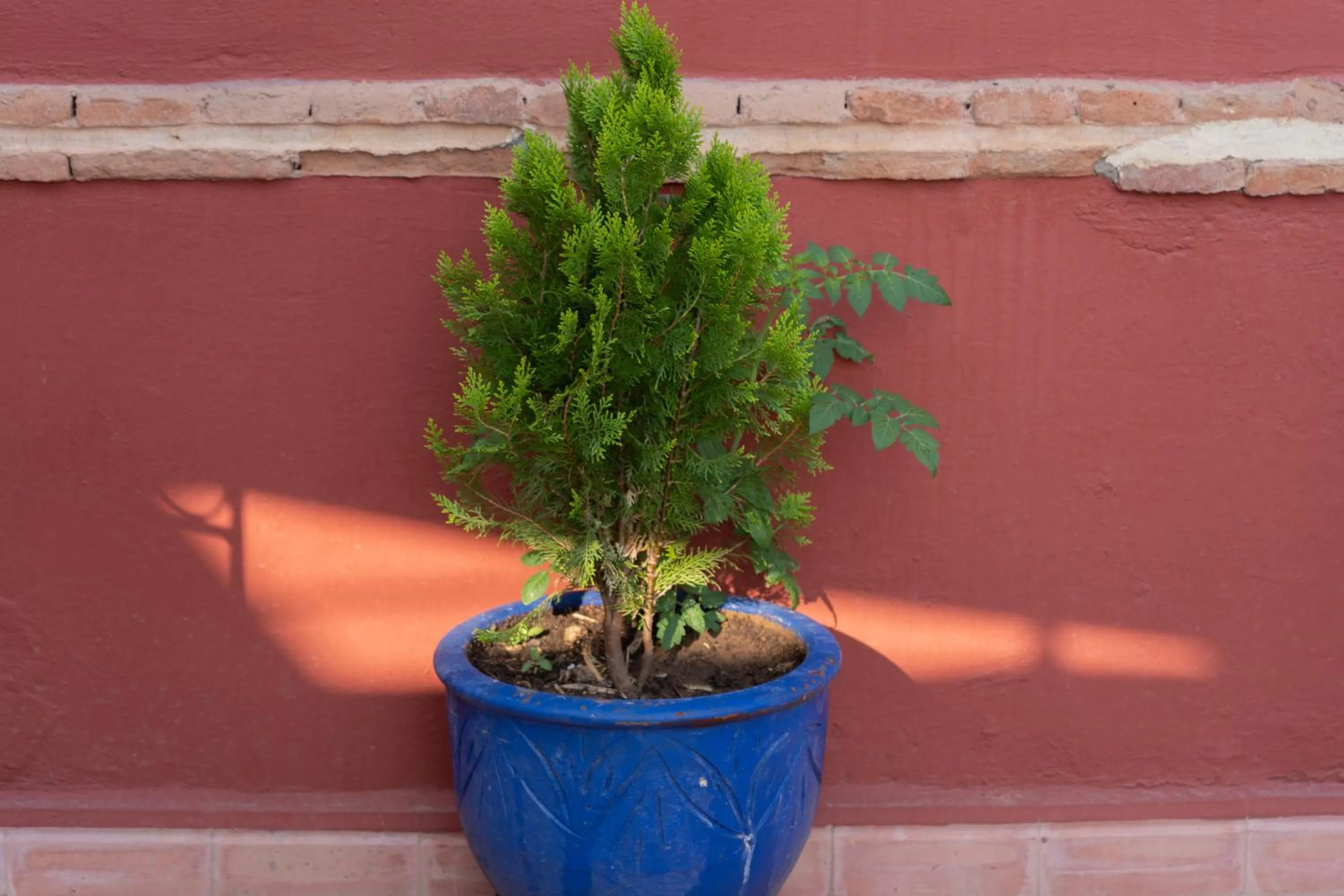 Patio in Riad Le Plein Sud