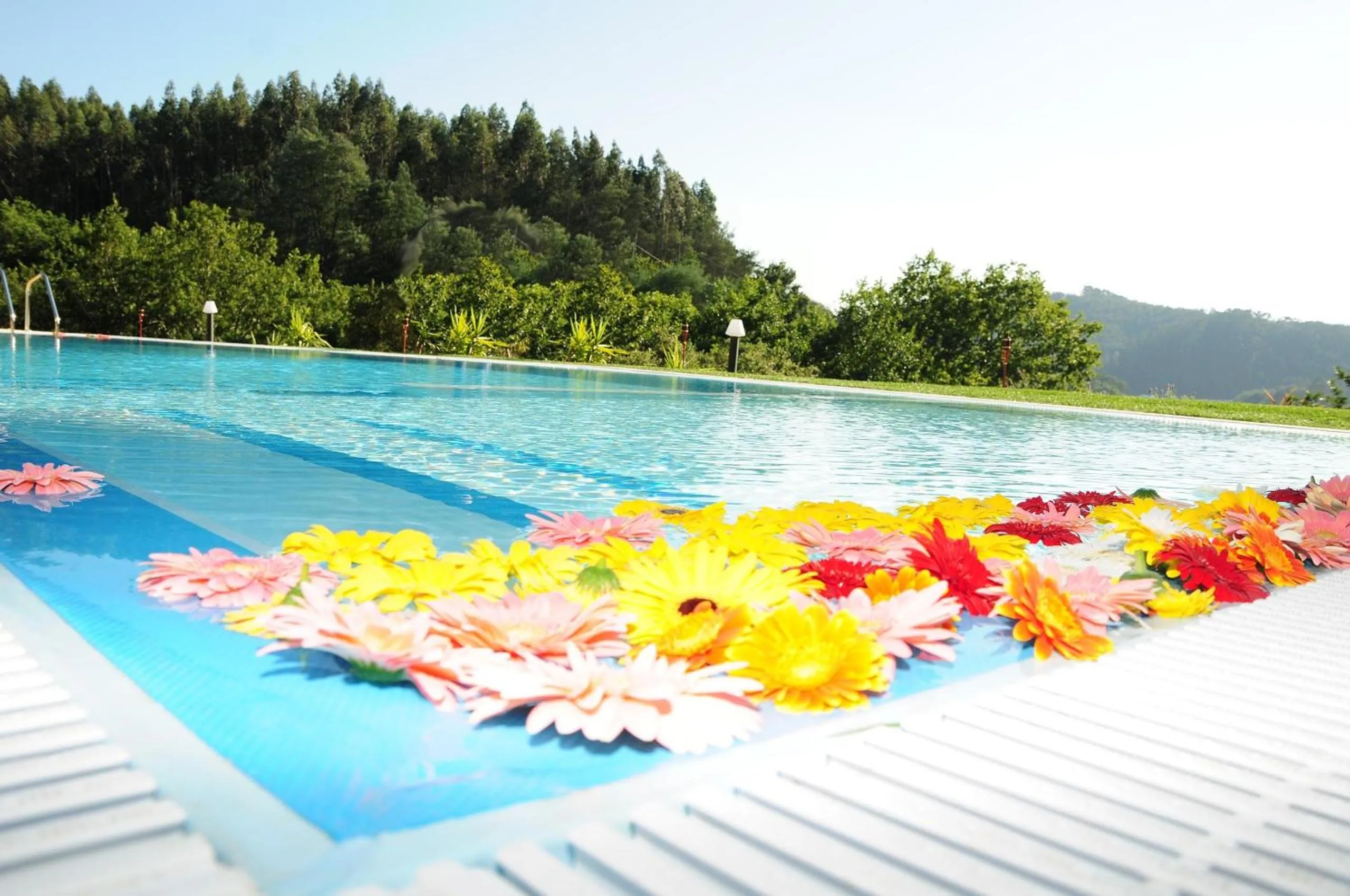 Swimming pool in Hotel Rural Quinta da Conchada