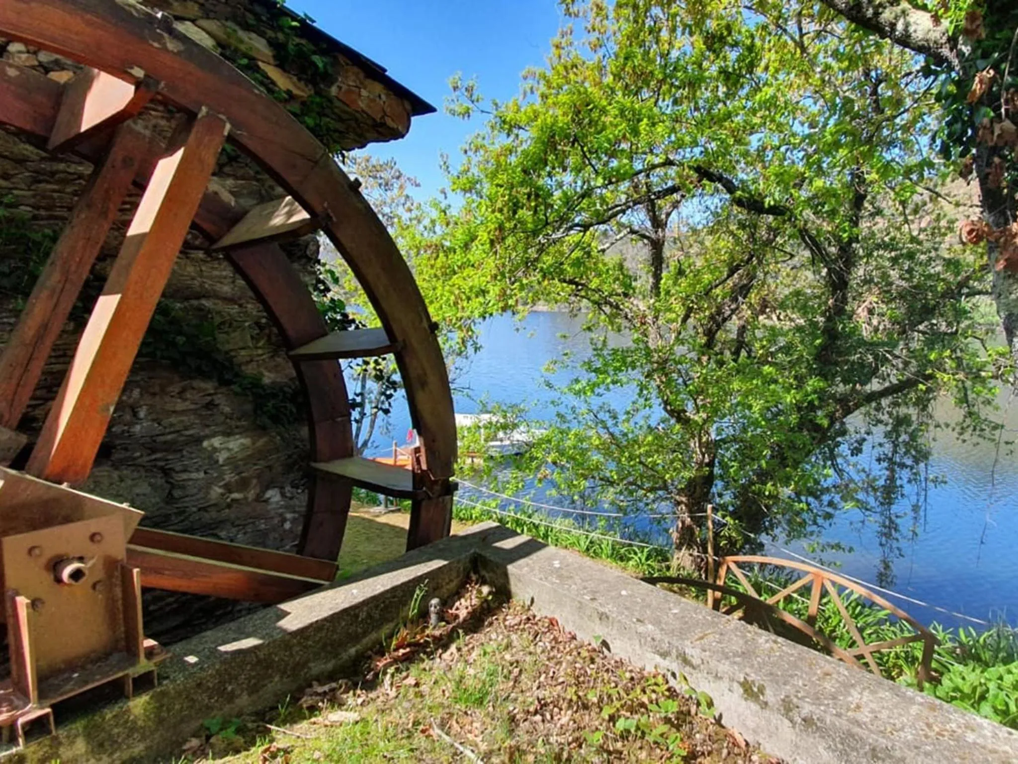Garden in Hotel Rural Quinta da Conchada