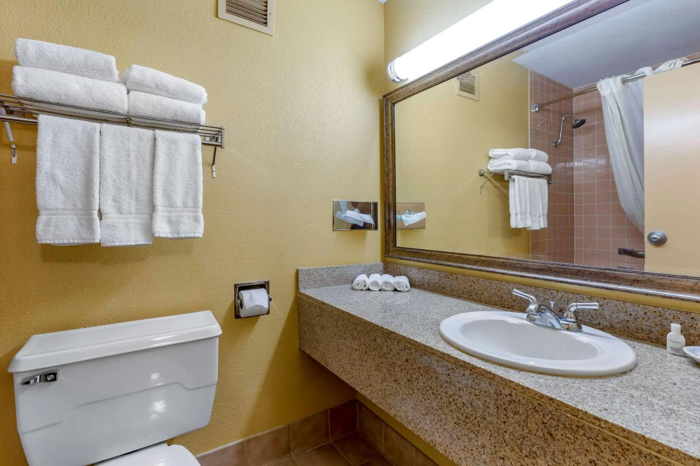Bathroom in Clarion Inn & Suites Roswell