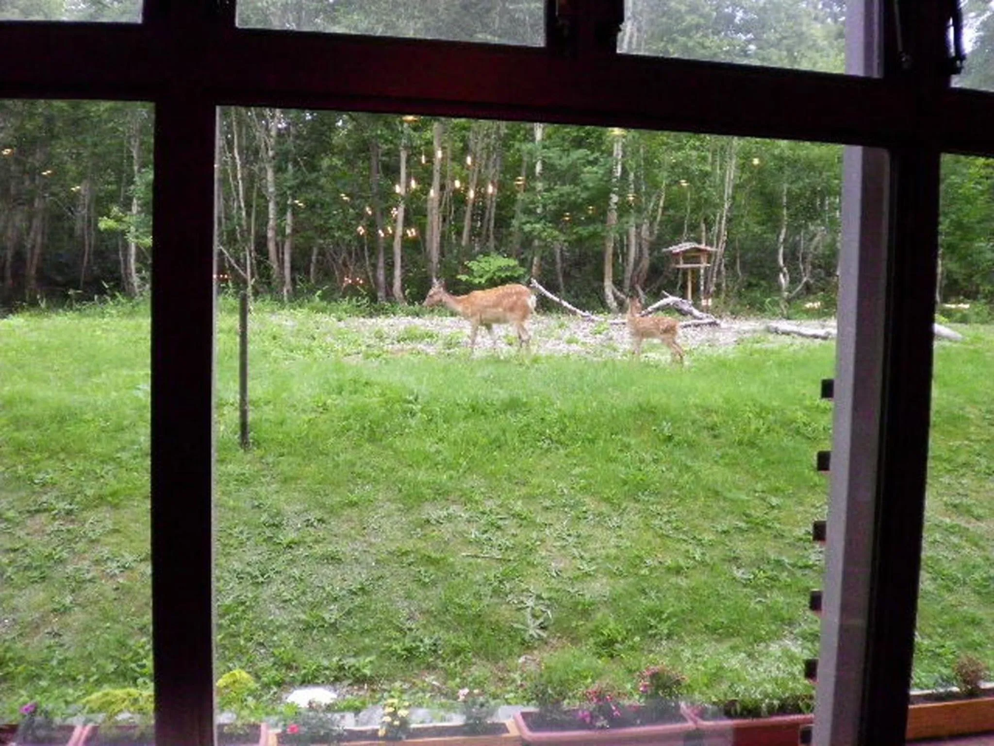 Garden in Asahidake Onsen Hotel Deer Valley