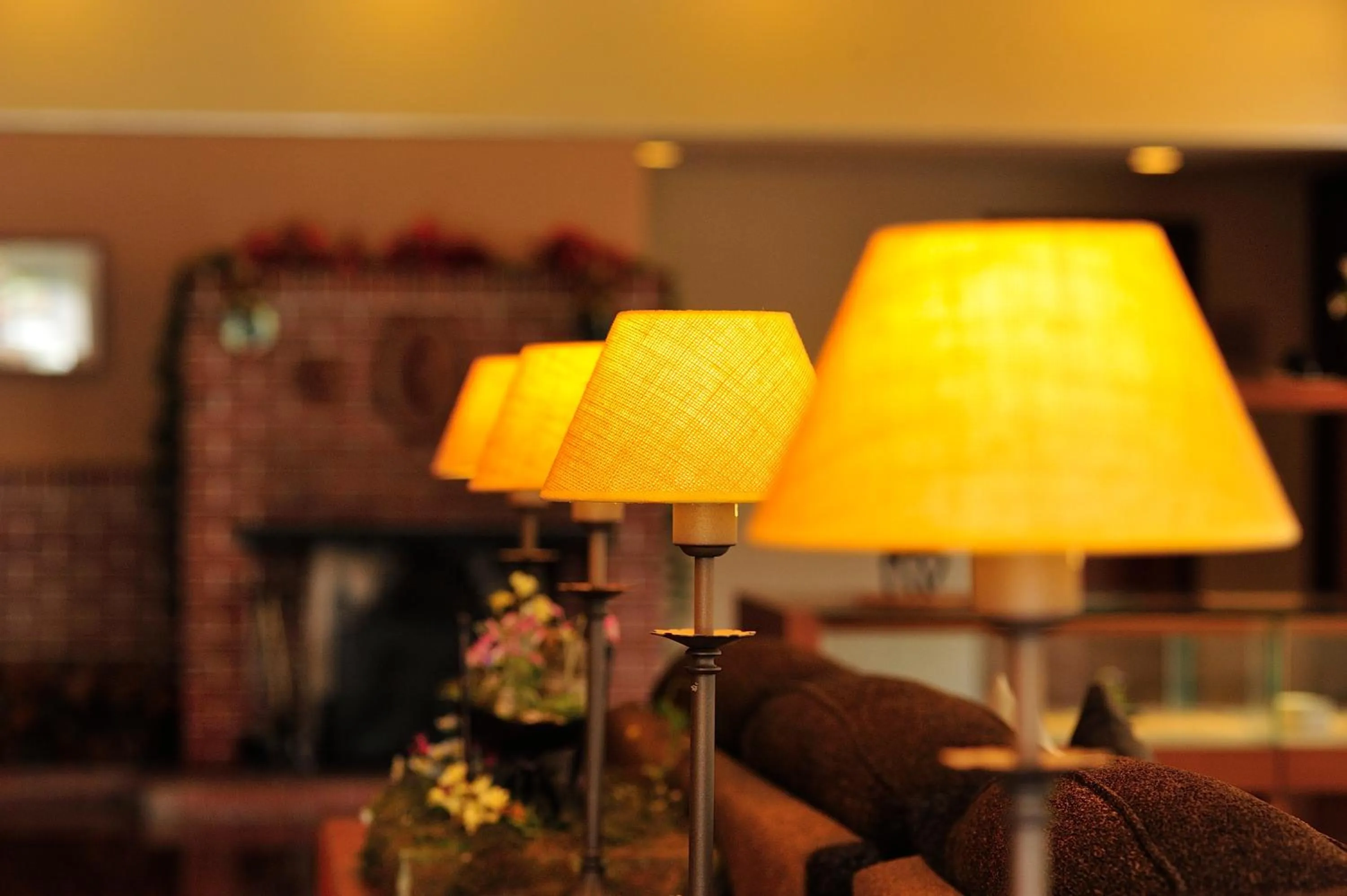 Lobby or reception in Asahidake Onsen Hotel Deer Valley