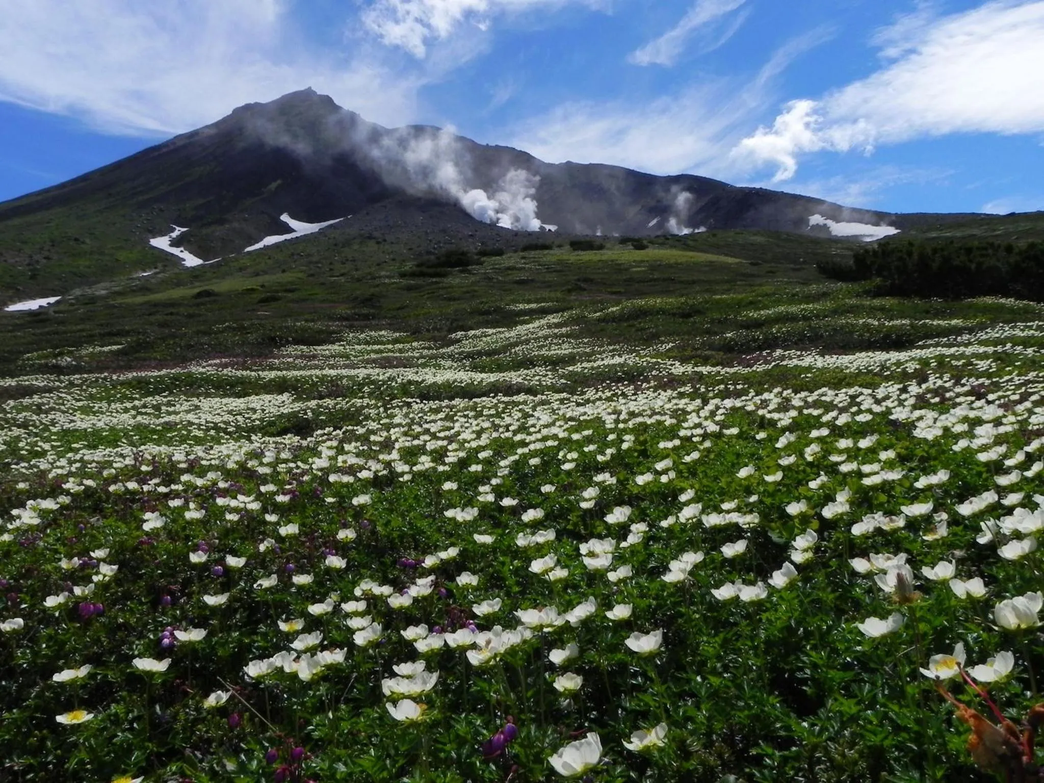 Natural landscape in Asahidake Onsen Hotel Deer Valley