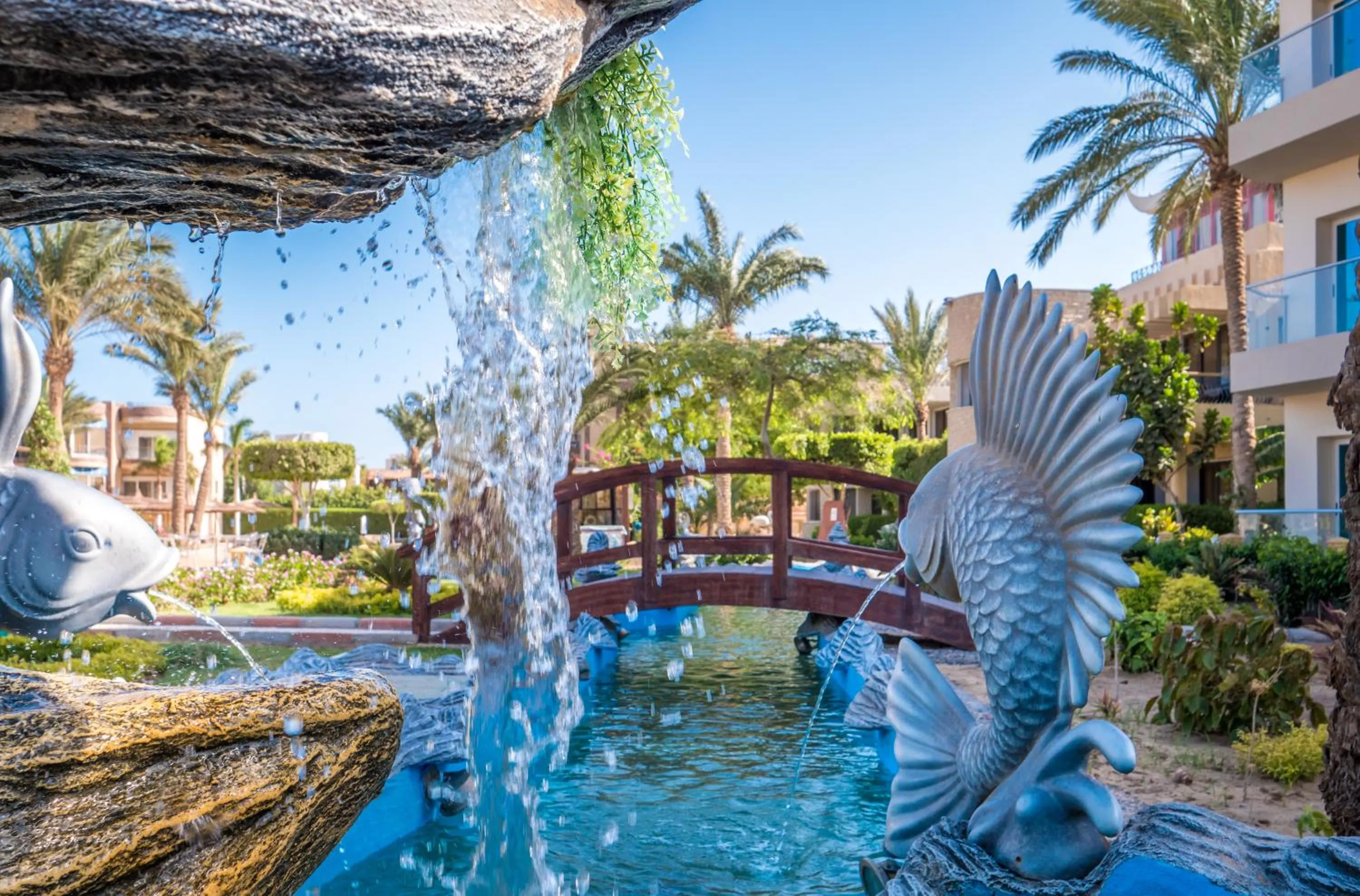 Natural landscape in Seagull Beach Resort - Families and Couples Only