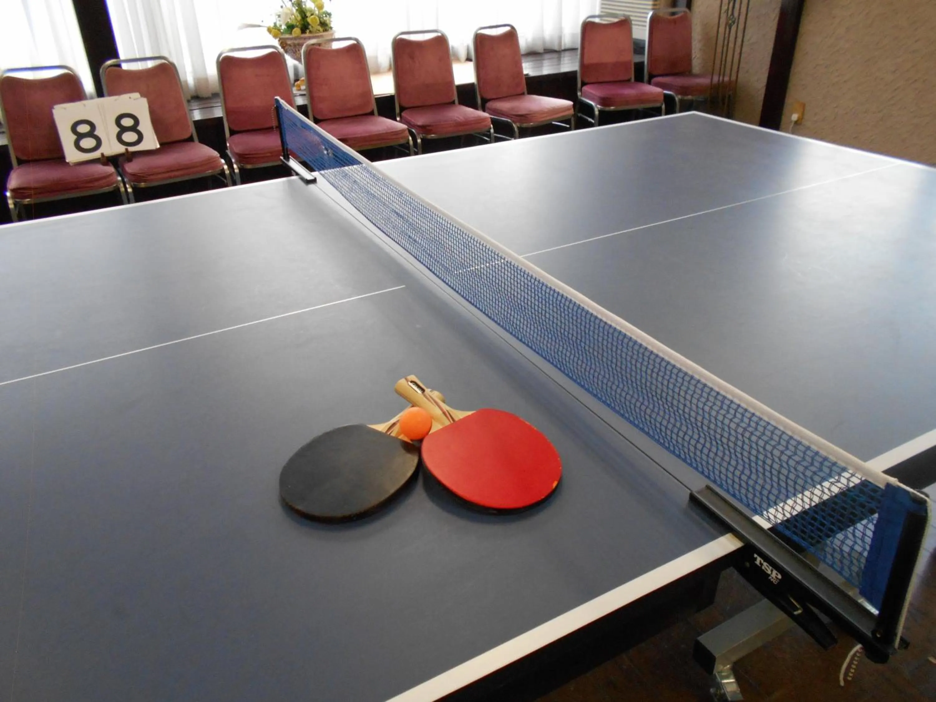 Table tennis in Hotel Luna Park