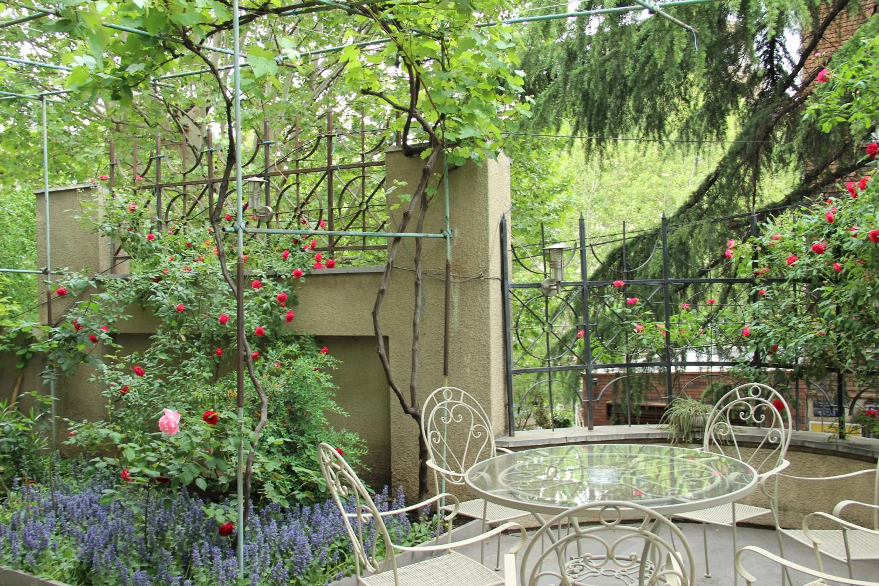 Garden in Iliani Hotel