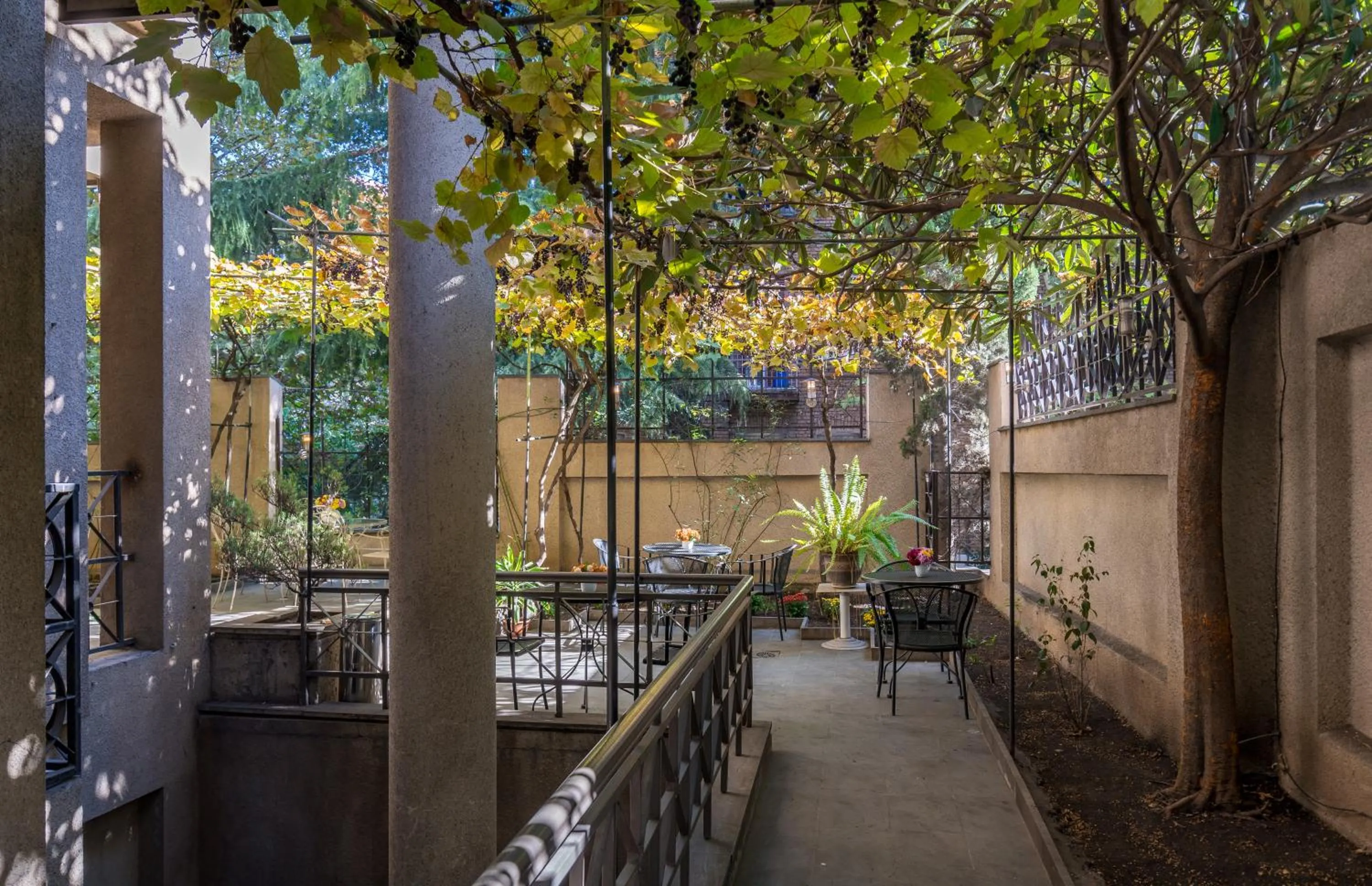 Garden in Iliani Hotel