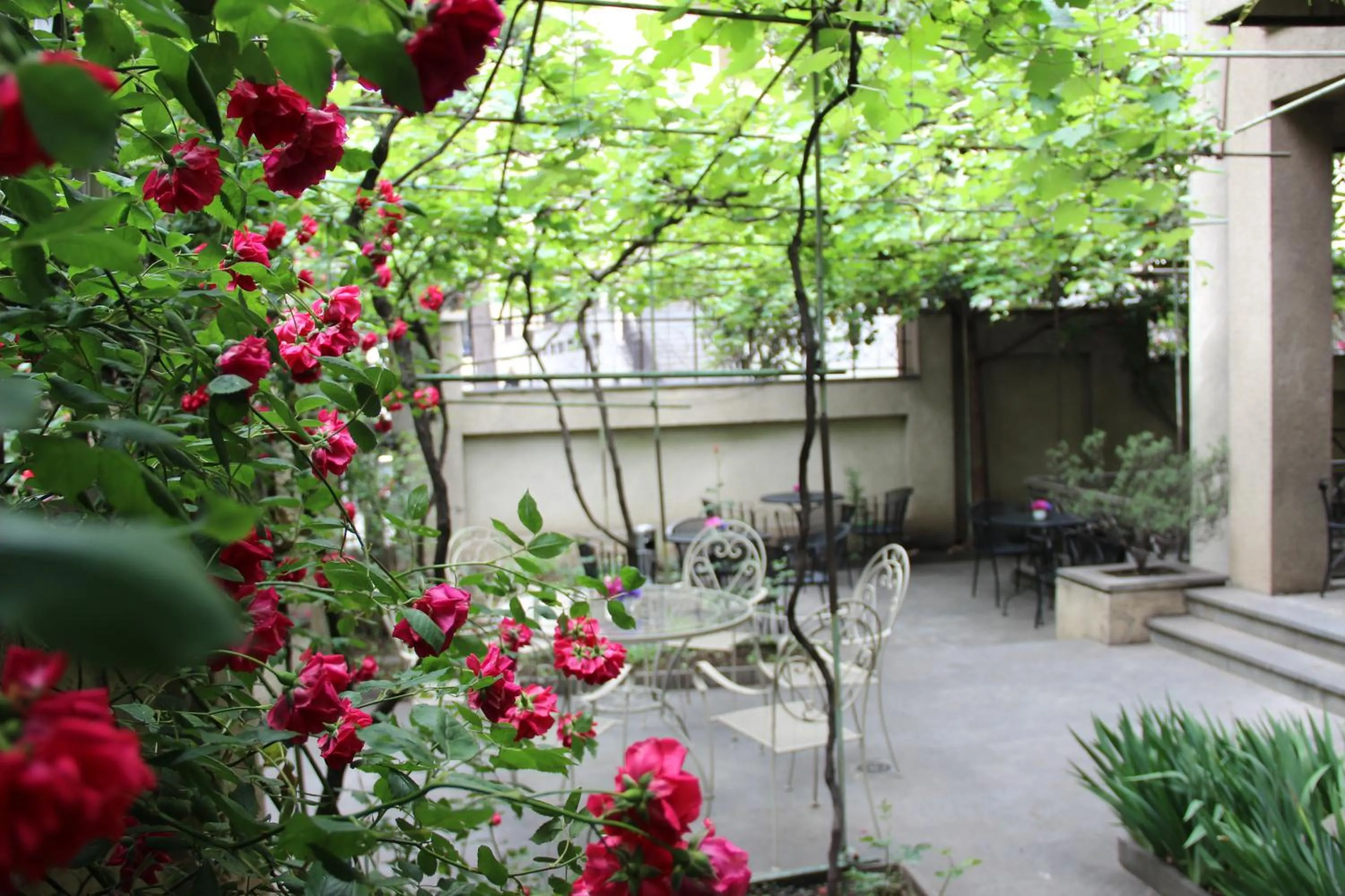 Garden in Iliani Hotel