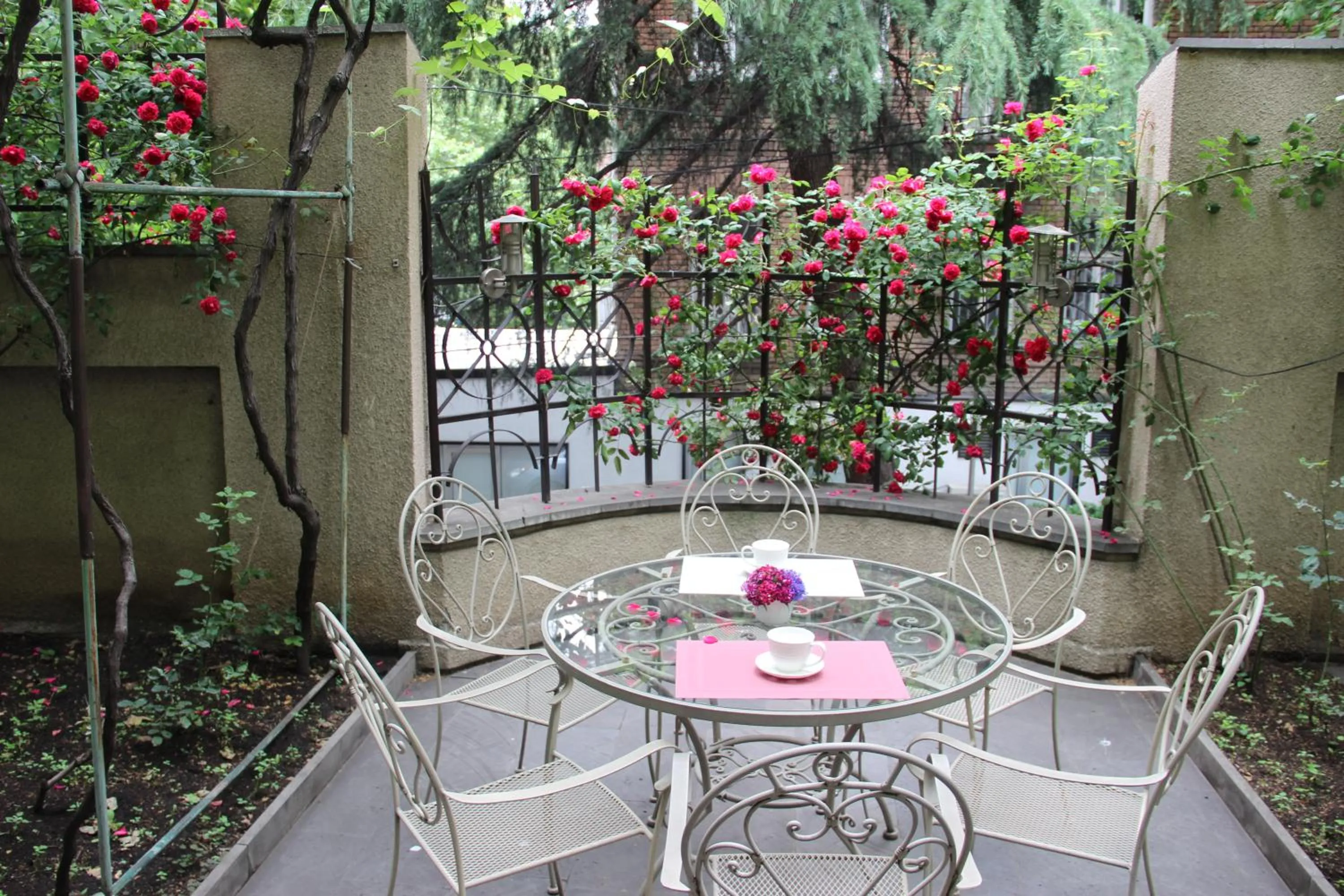 Garden in Iliani Hotel