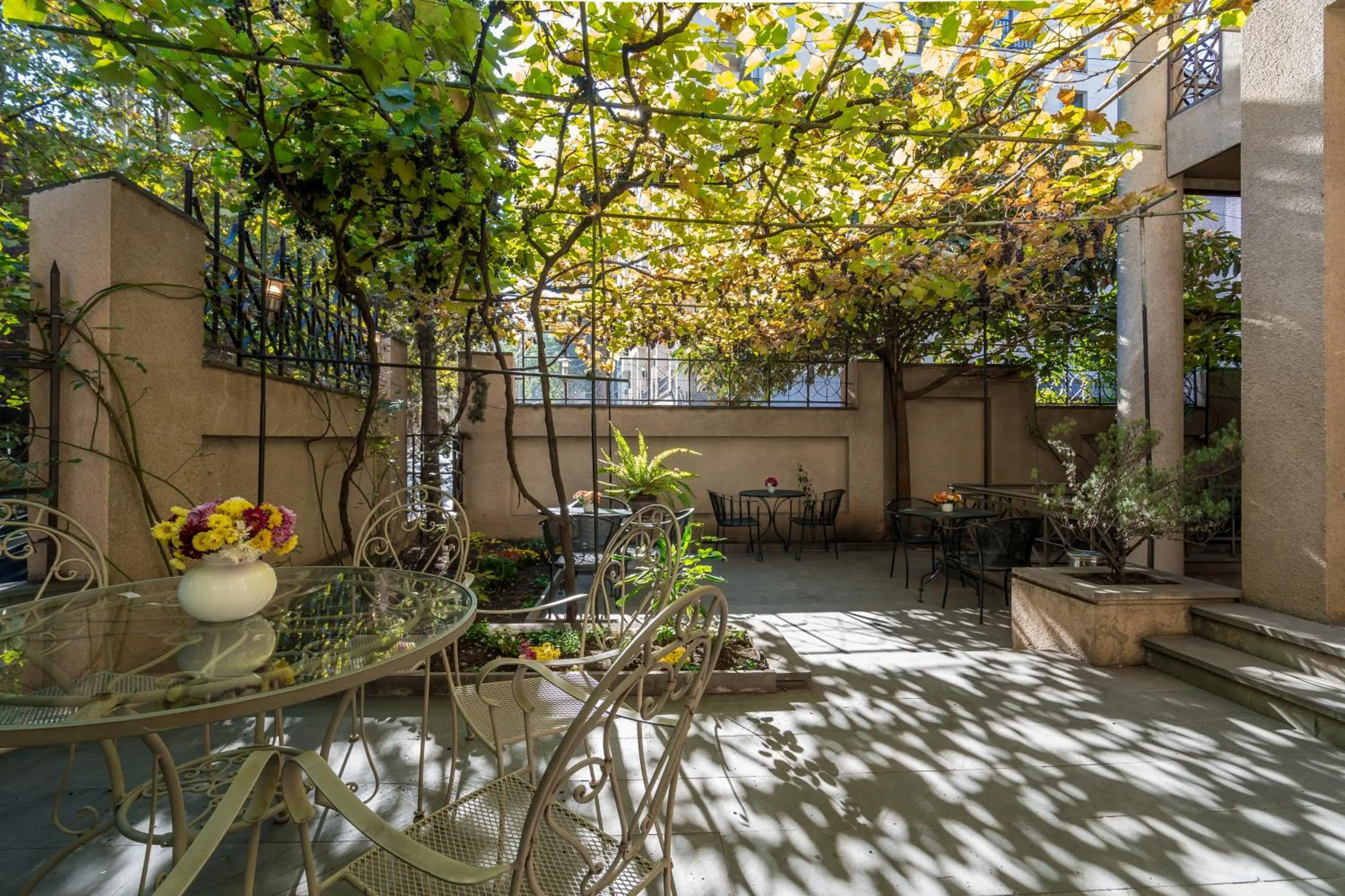 Garden in Iliani Hotel