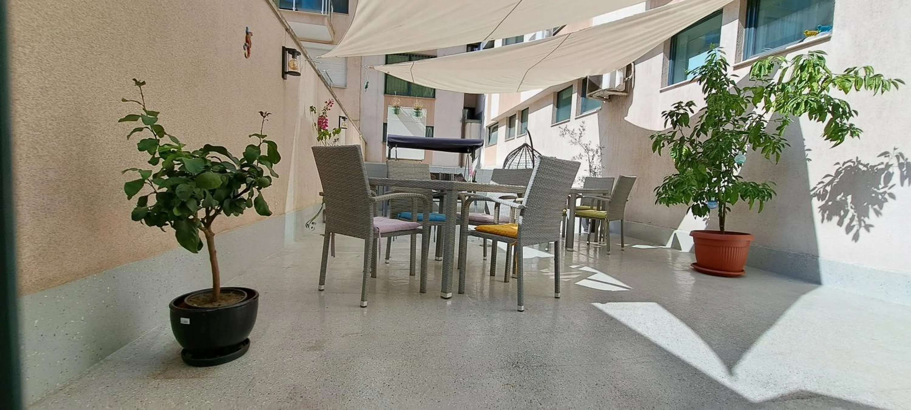 Garden in Central West Hotel