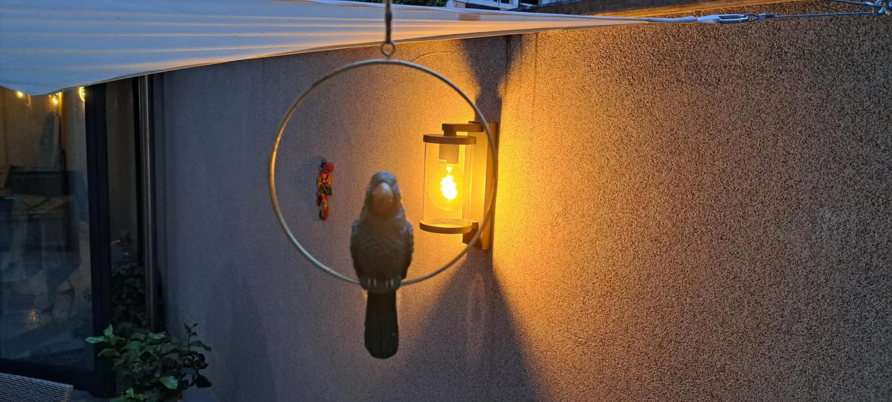 Garden in Central West Hotel