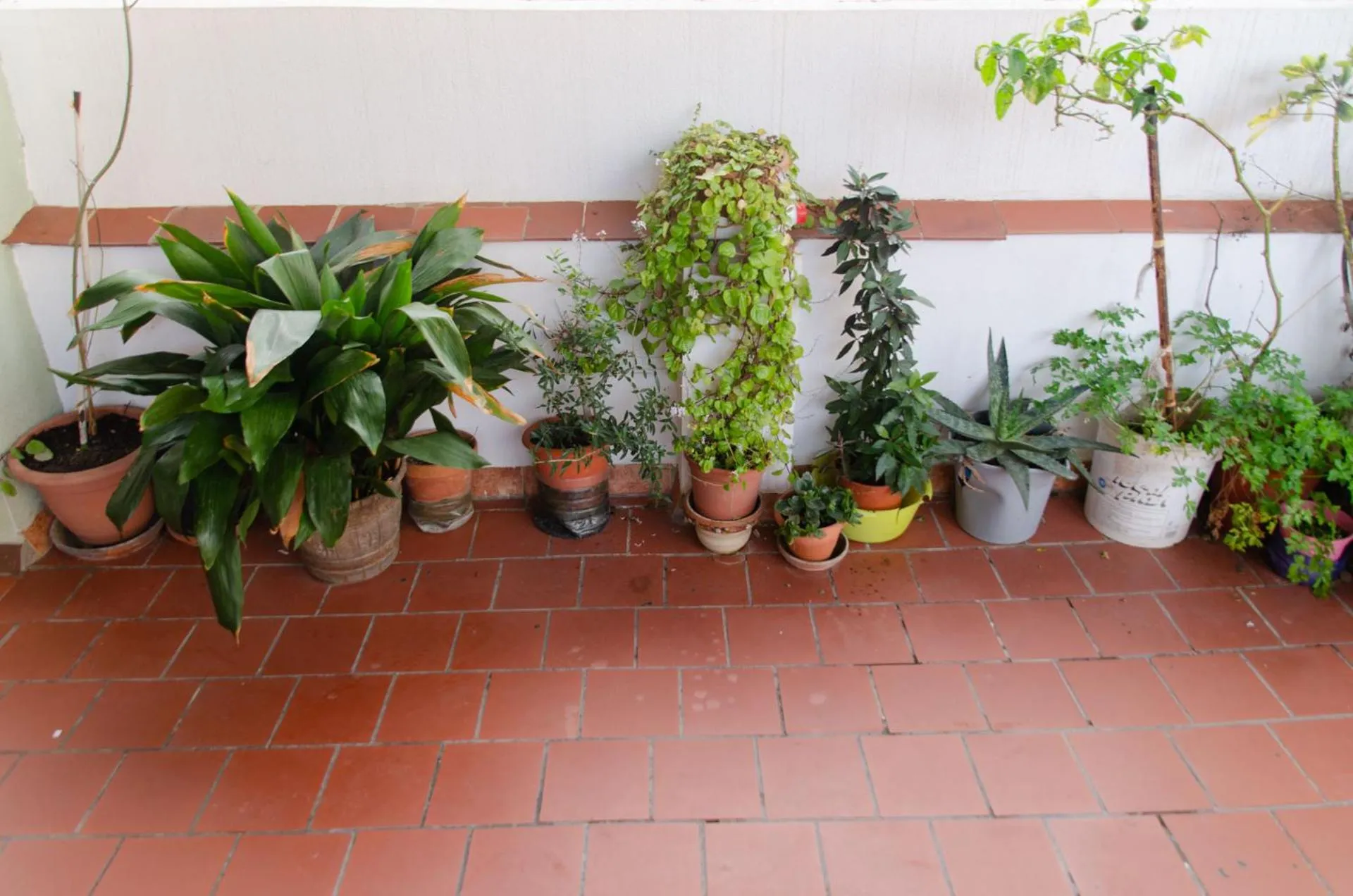 Balcony/Terrace in Hospedaje Lisboa Algeciras P Ca 0214 y A Ca 0232