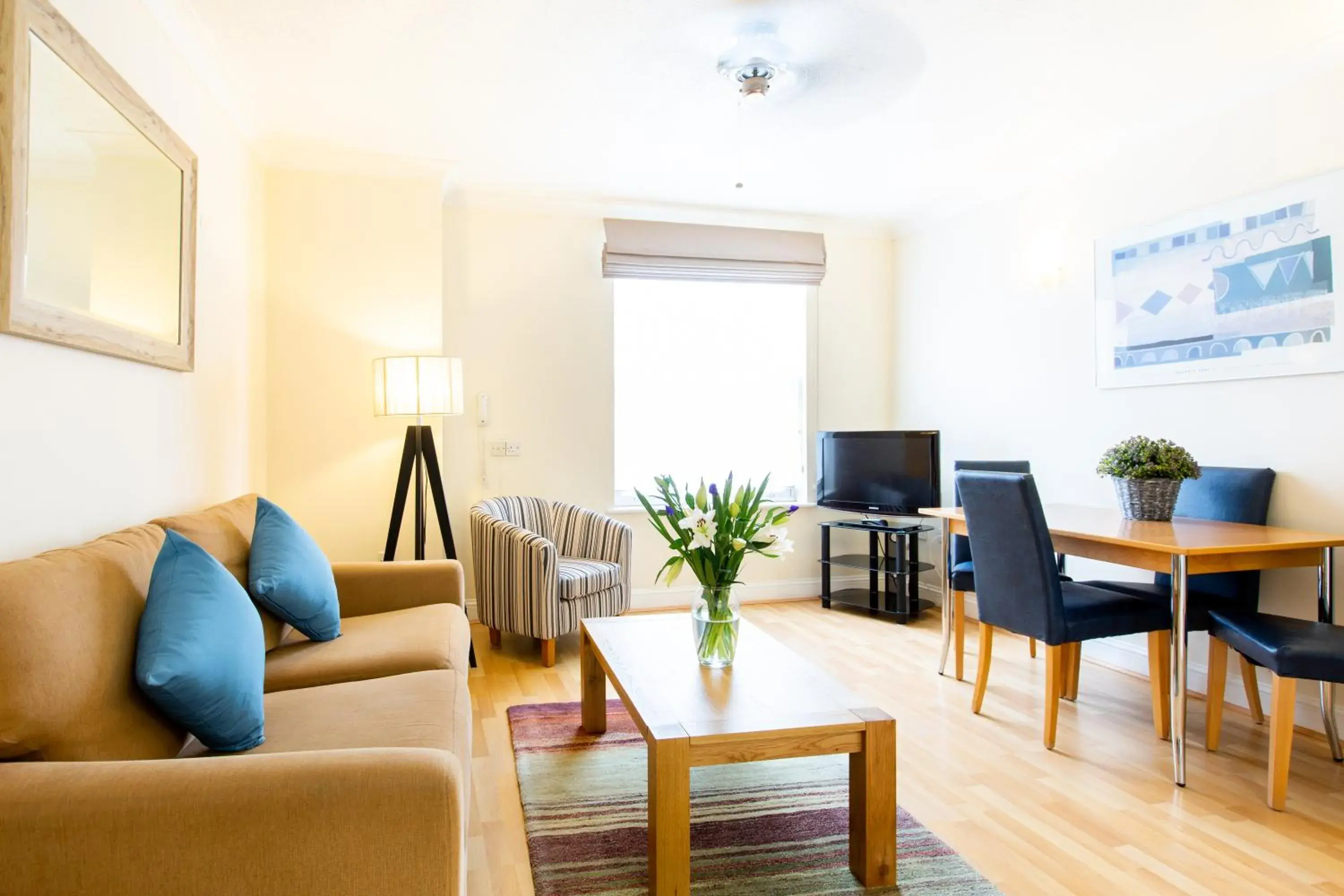 One Bedroom Apartment with Wall Bed in SACO Jersey - Merlin House One Bedroom Apartment with Wall Bed in SACO Jersey - Merlin House