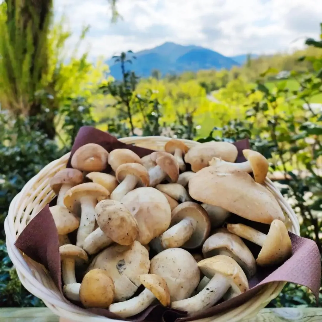 Natural landscape in Locanda Romana