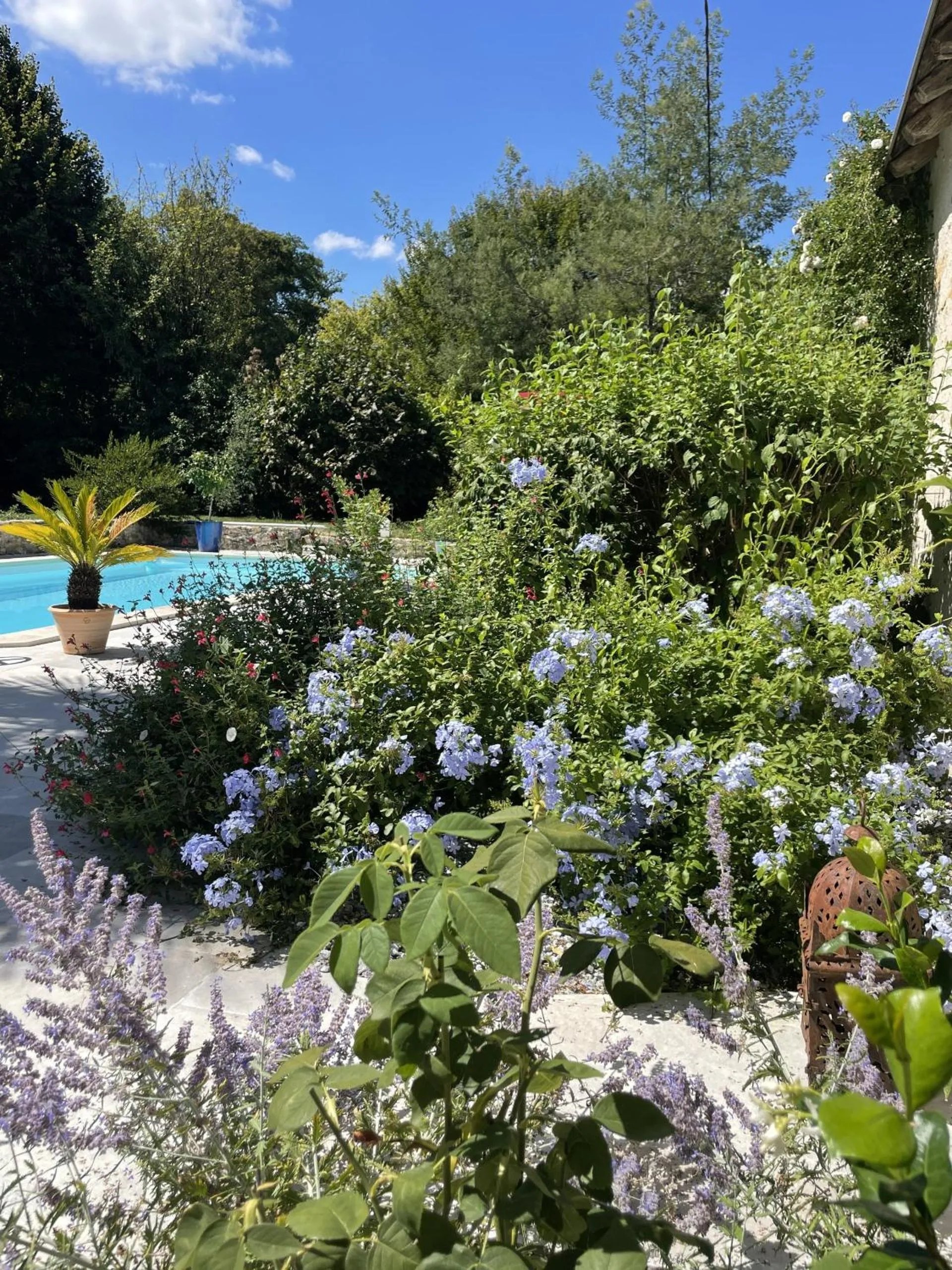 Garden in Villa Cassandre