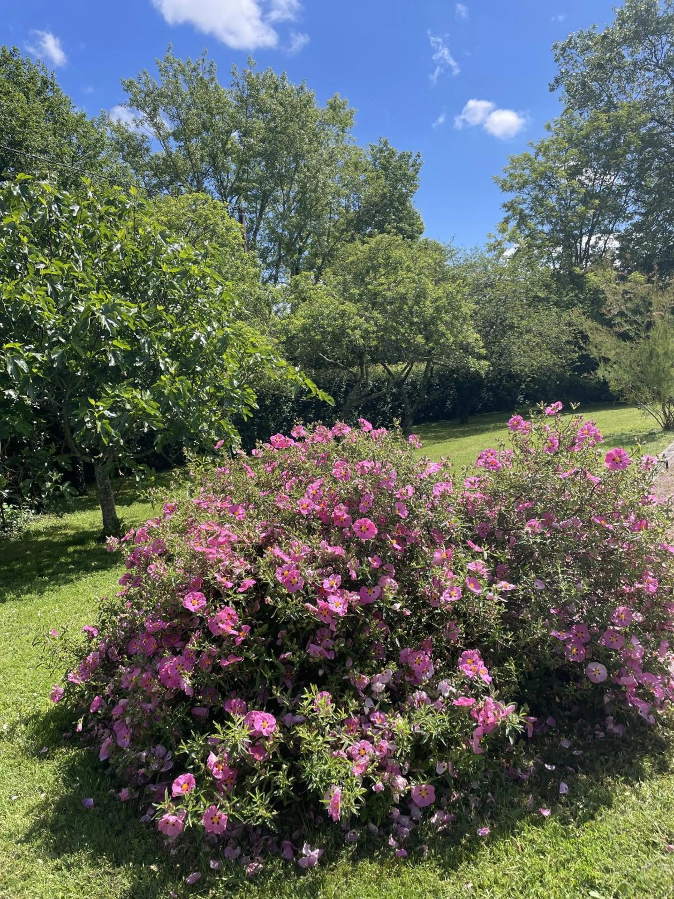 View (from property/room) in Villa Cassandre