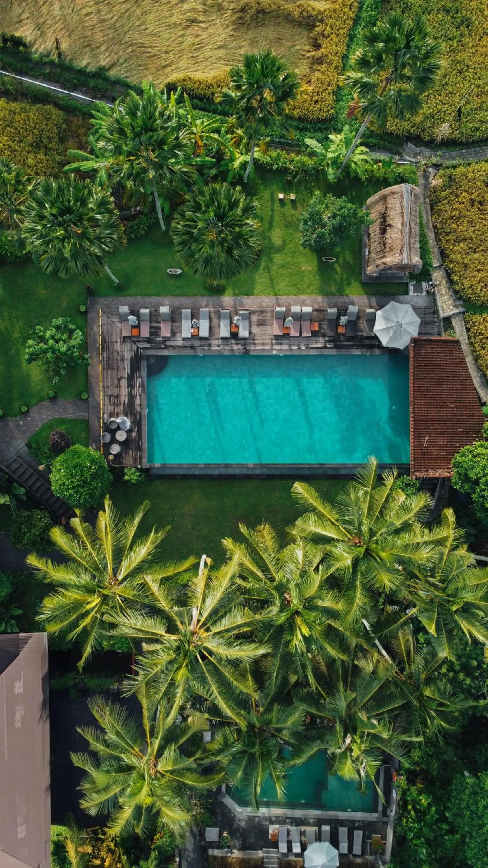 Property building in The Artini Dijiwa Ubud