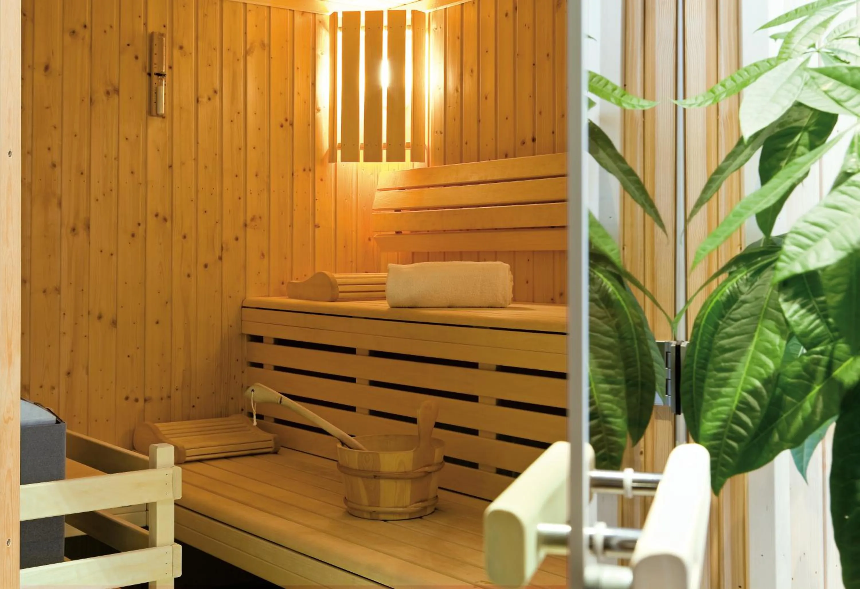 Sauna in Hôtel Le Griffon d'Or