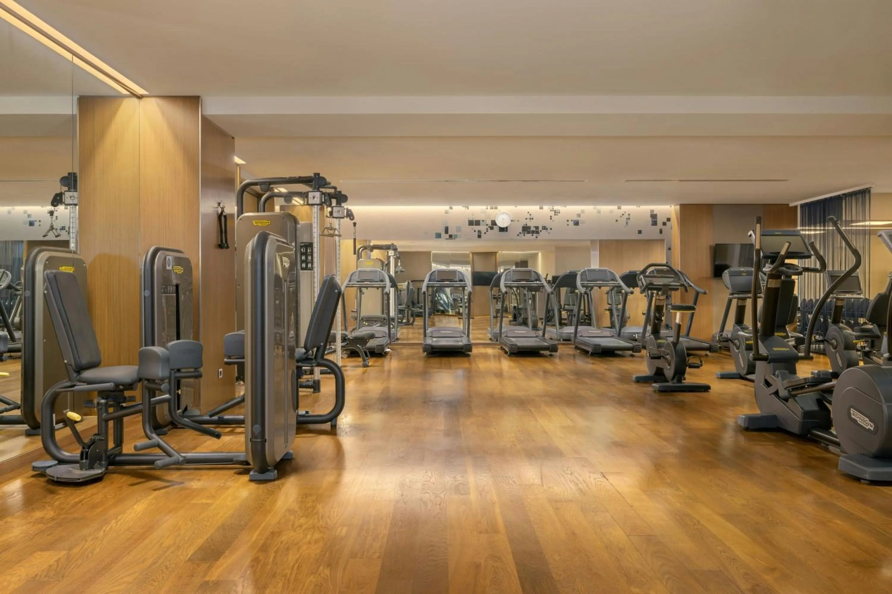 Fitness centre/facilities in Sheraton Grand Tbilisi Metechi Palace