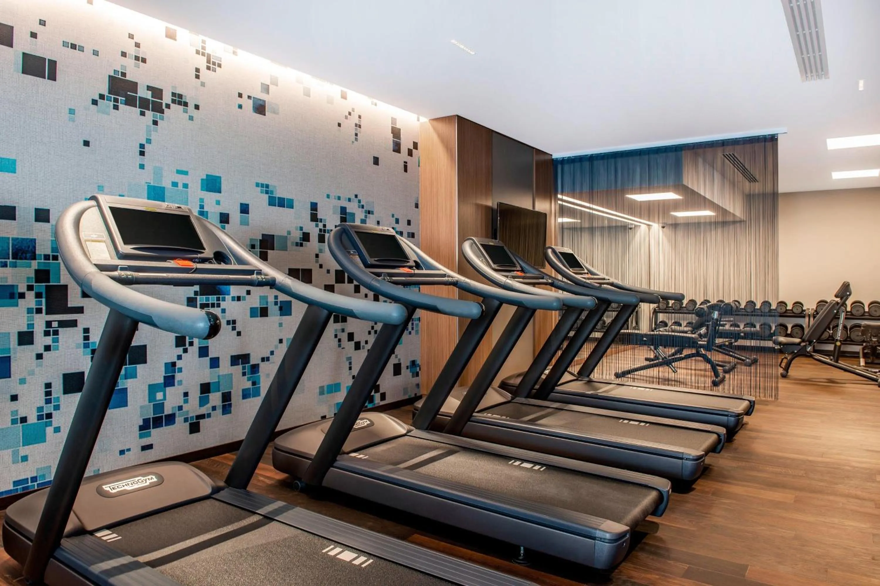 Fitness centre/facilities in Sheraton Grand Tbilisi Metechi Palace