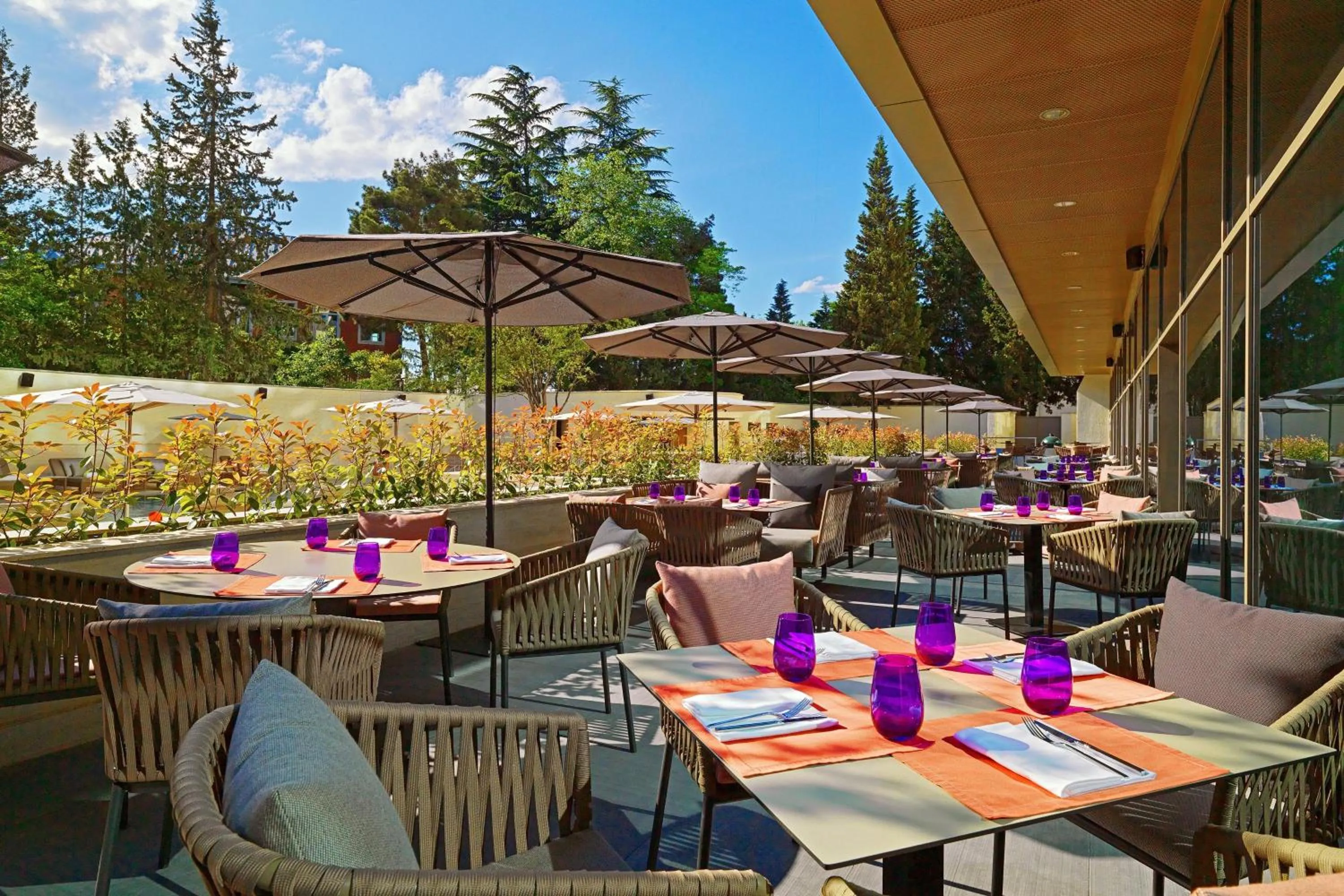 Restaurant/places to eat in Sheraton Grand Tbilisi Metechi Palace