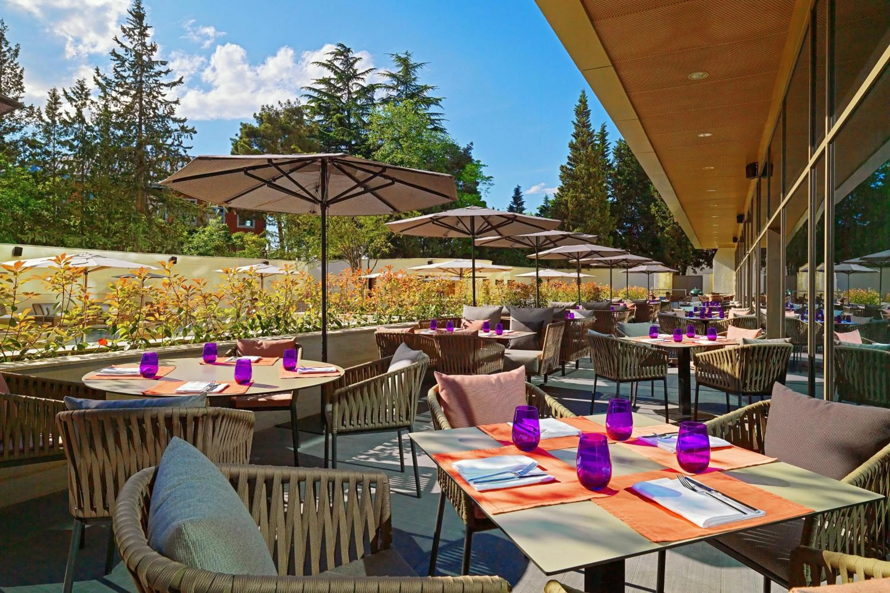 Restaurant/places to eat in Sheraton Grand Tbilisi Metechi Palace