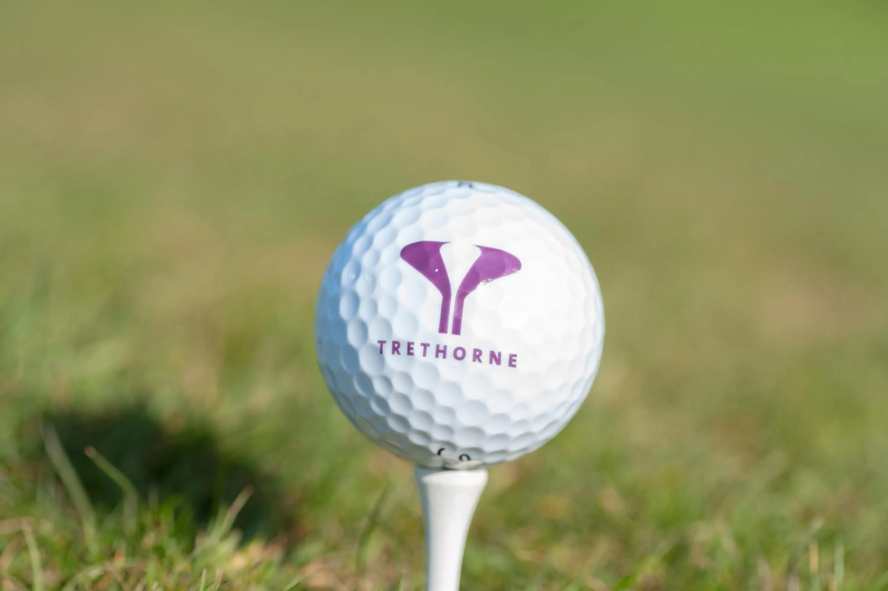 Other in Trethorne Hotel & Golf Club