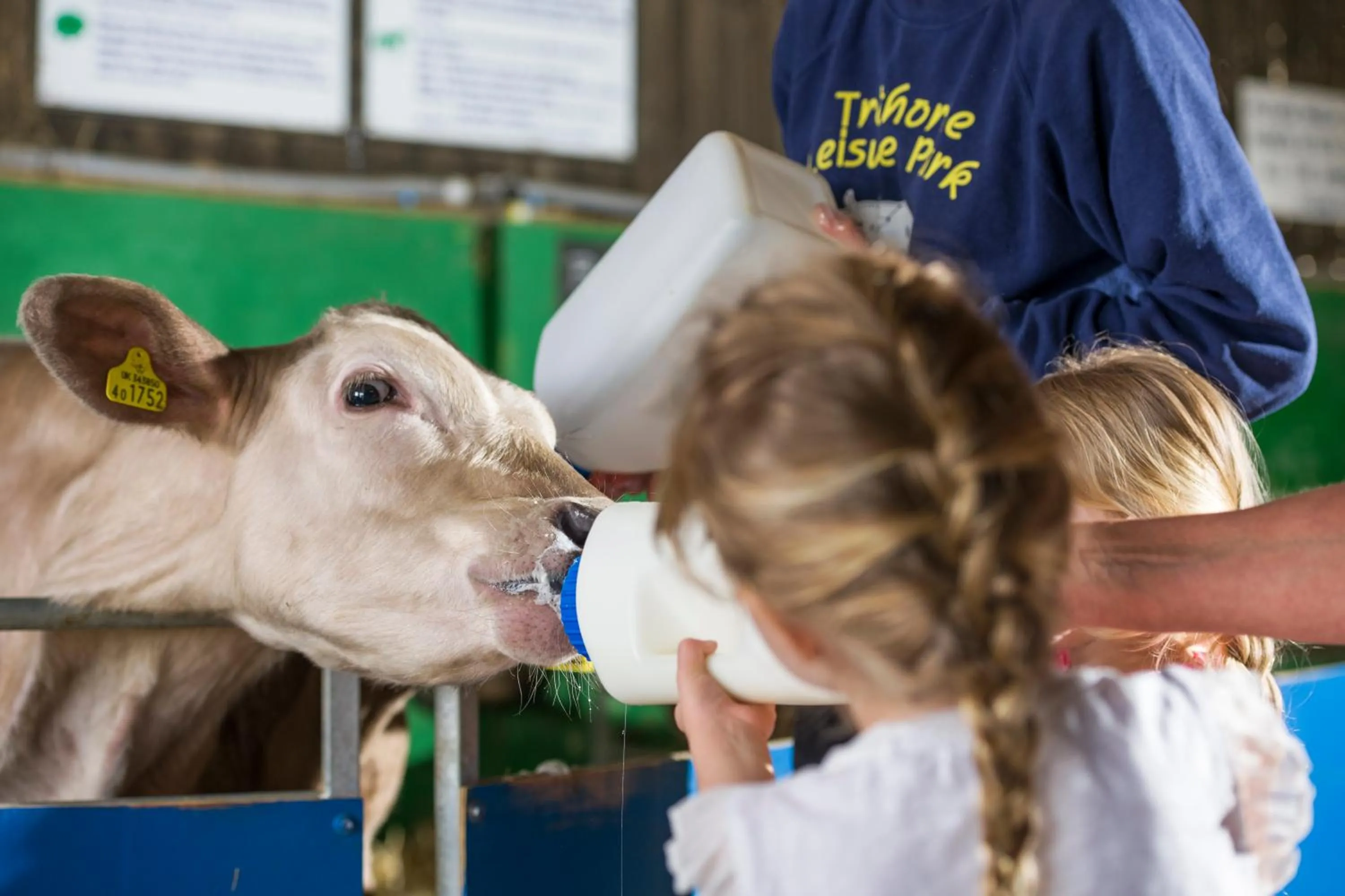 Trethorne Hotel & Golf Club