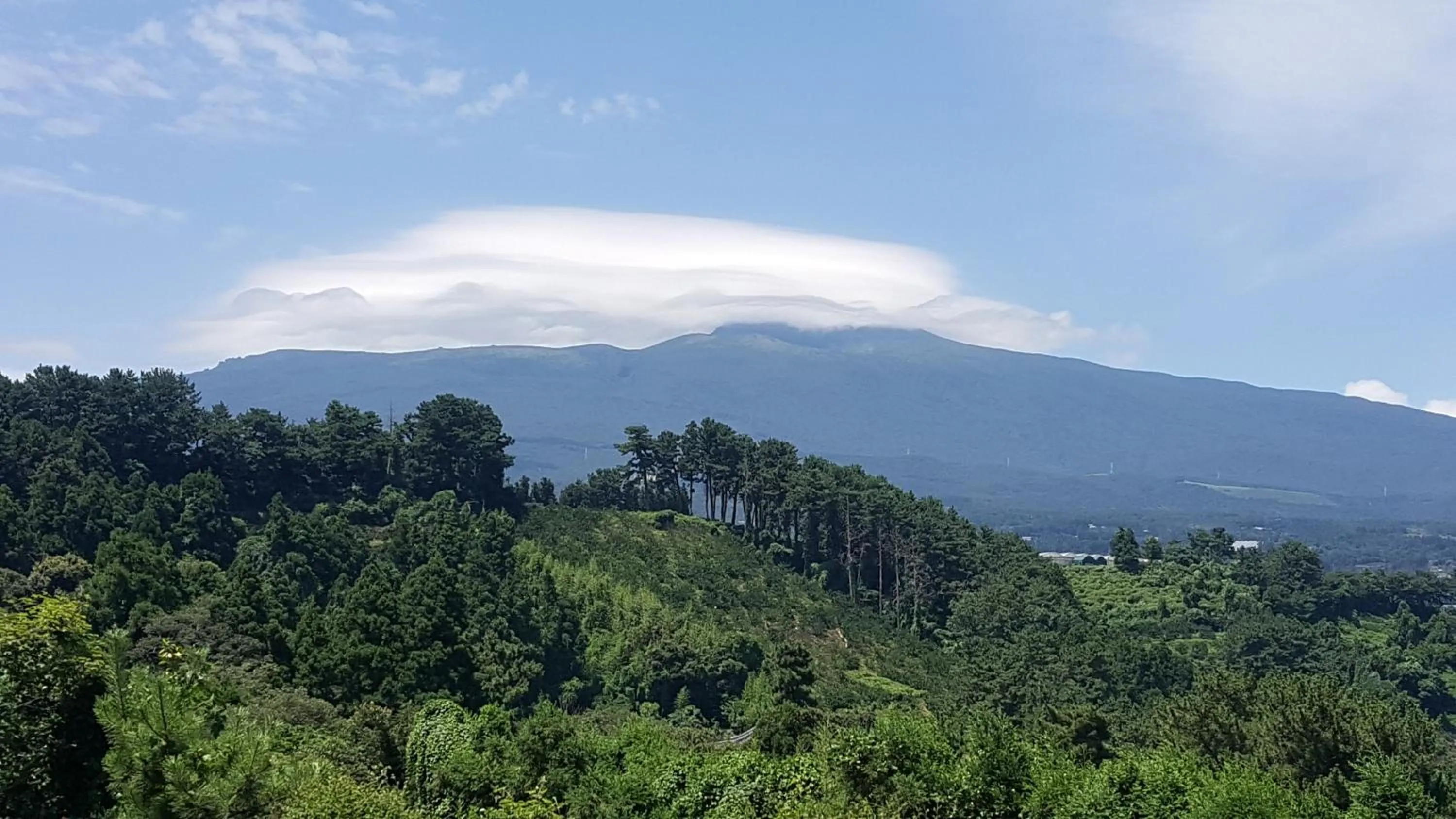 Mountain view in Dreaming Forest Pension Seogwipo