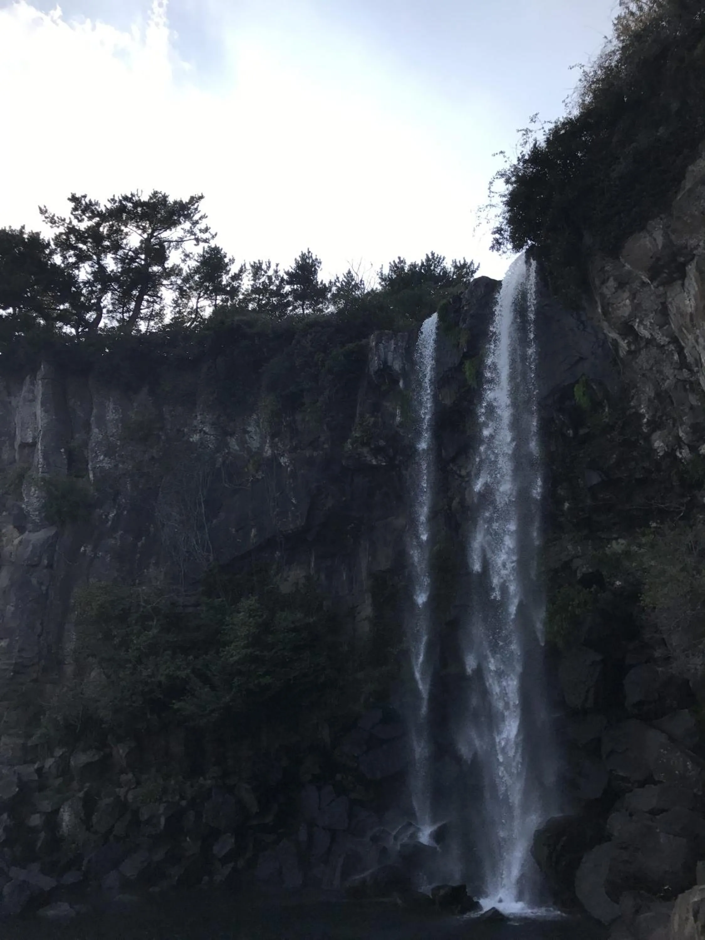 Nearby landmark in Dreaming Forest Pension Seogwipo
