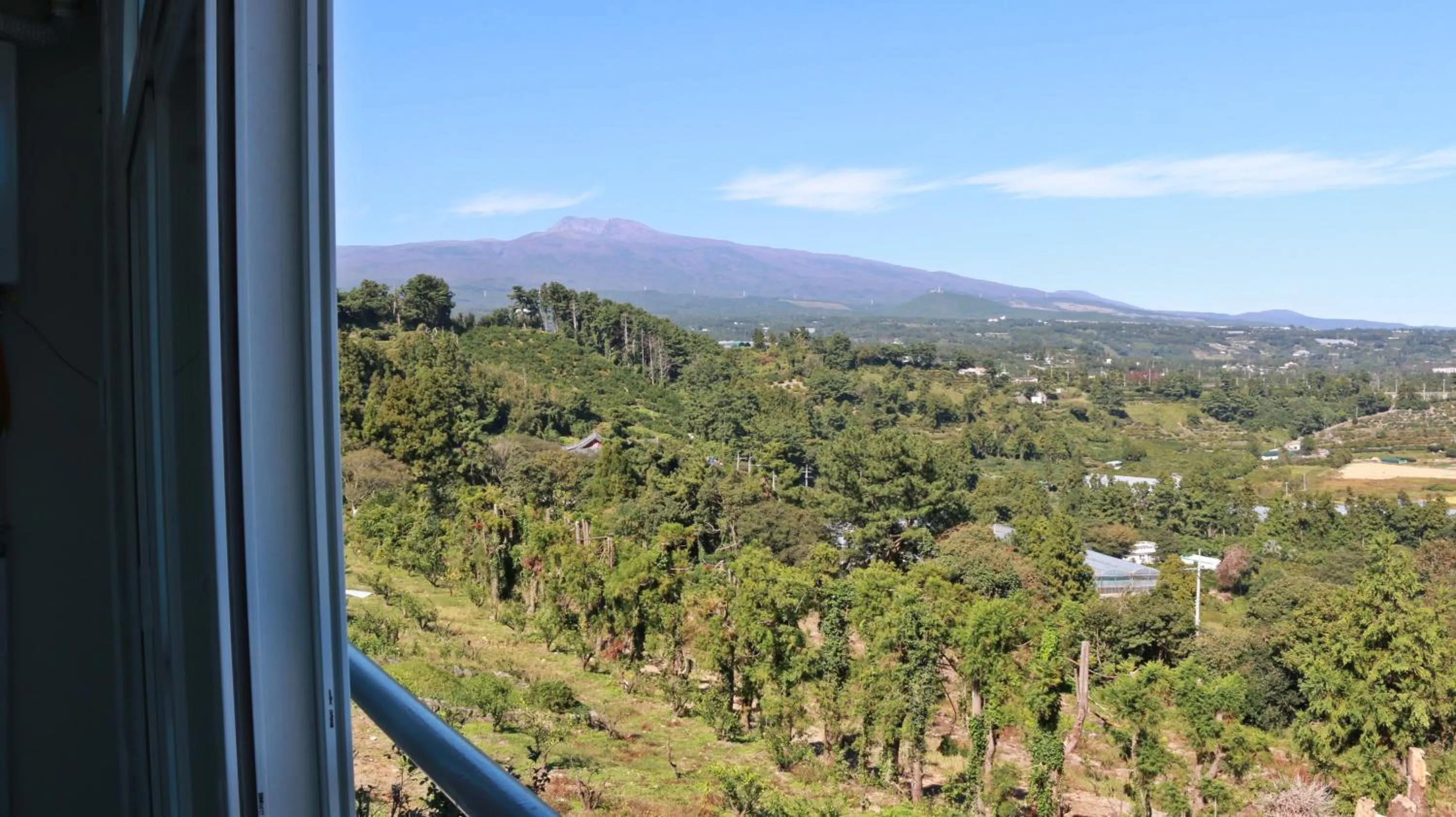 Neighbourhood in Dreaming Forest Pension Seogwipo
