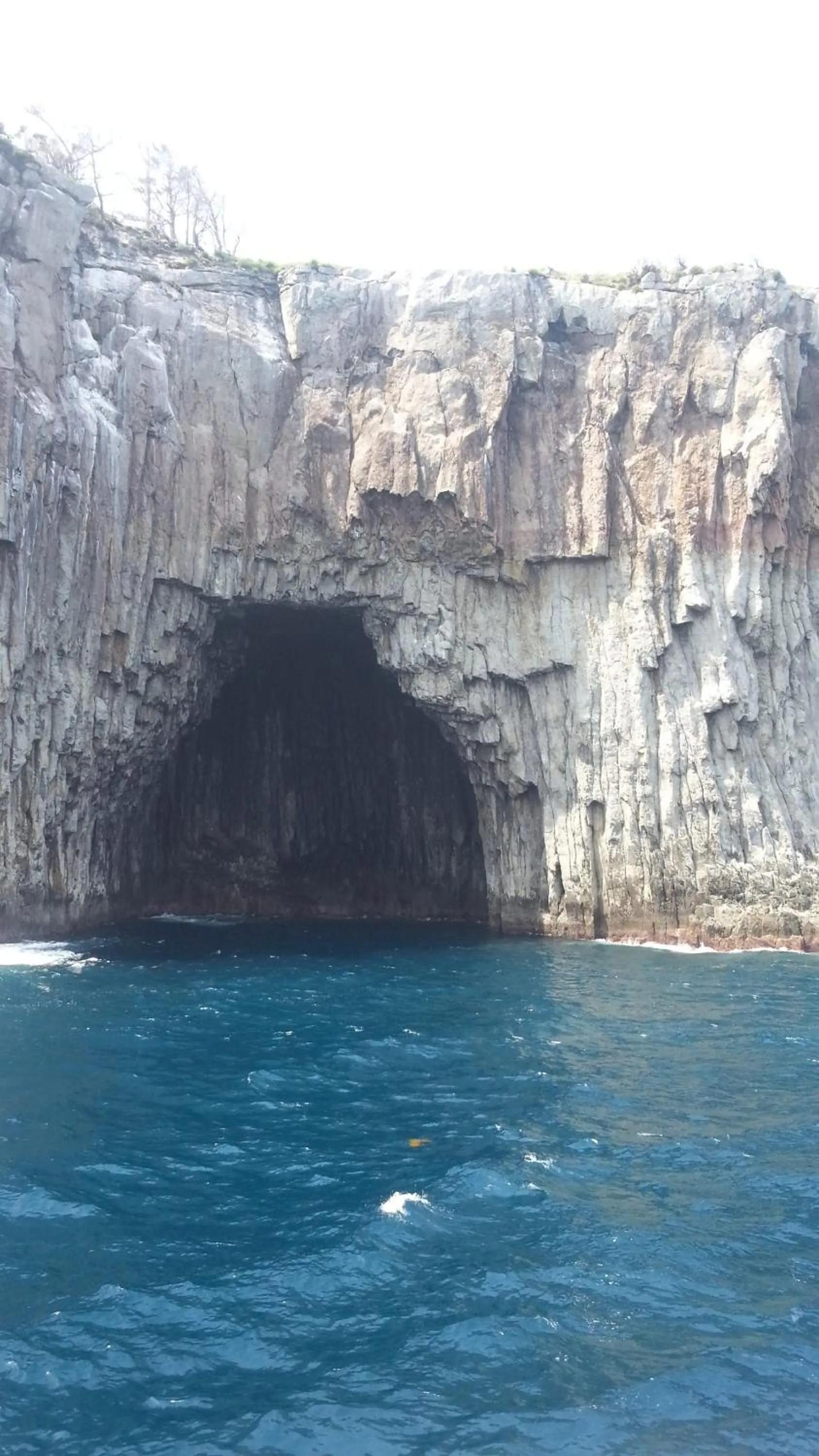 Nearby landmark in Dreaming Forest Pension Seogwipo