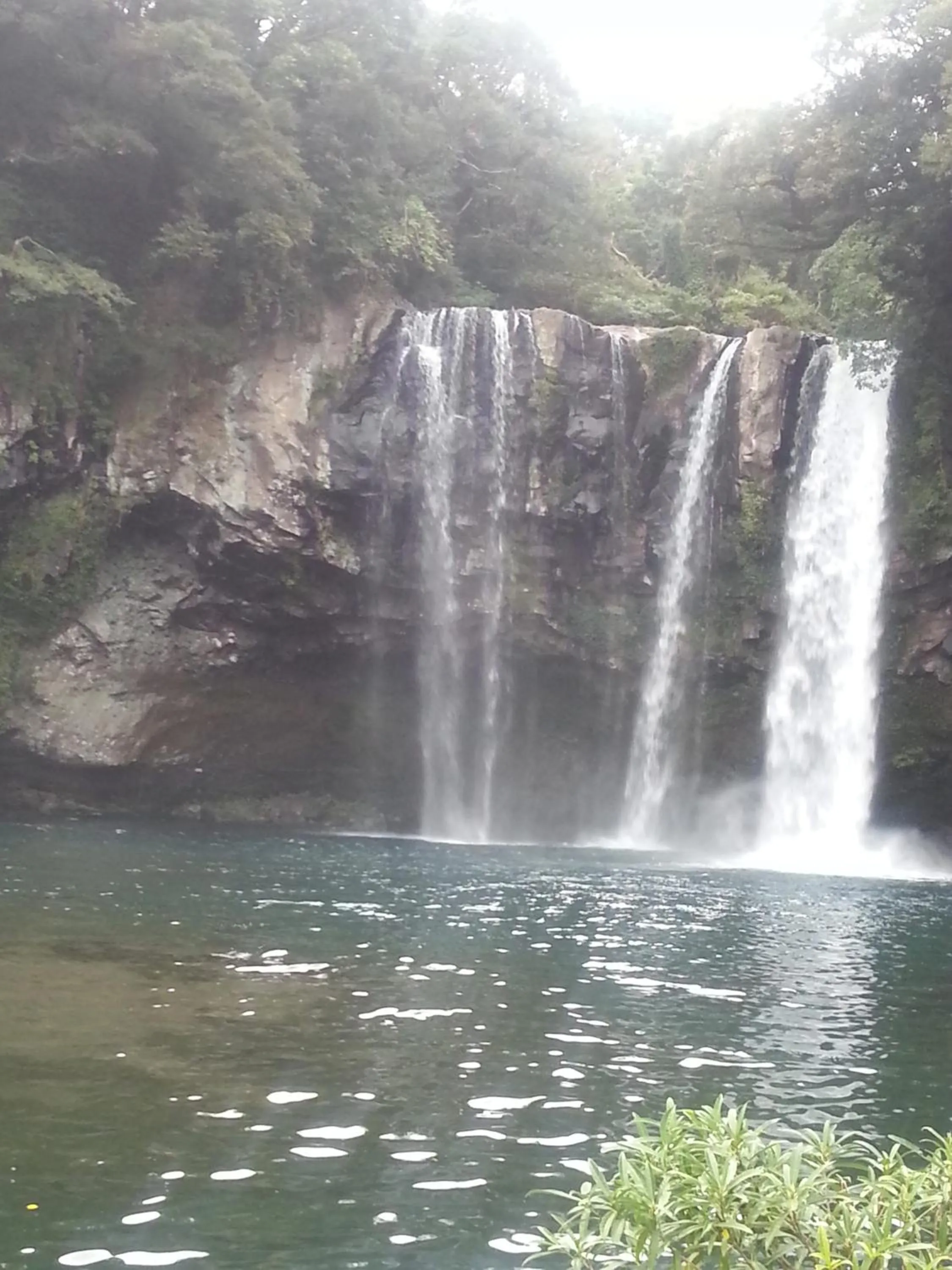 Nearby landmark in Dreaming Forest Pension Seogwipo