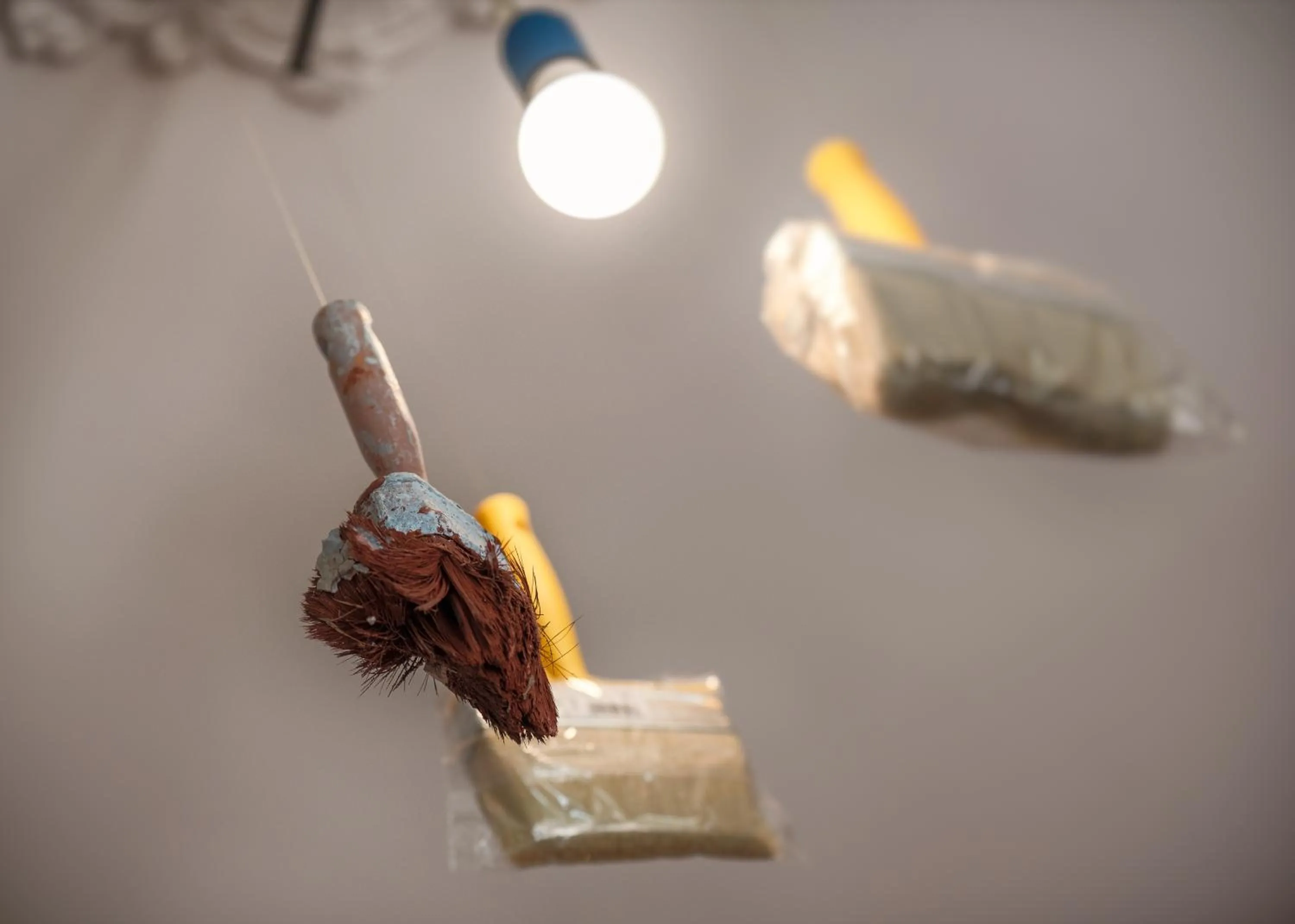 Casa D'Artista - Le stanze della stupidità