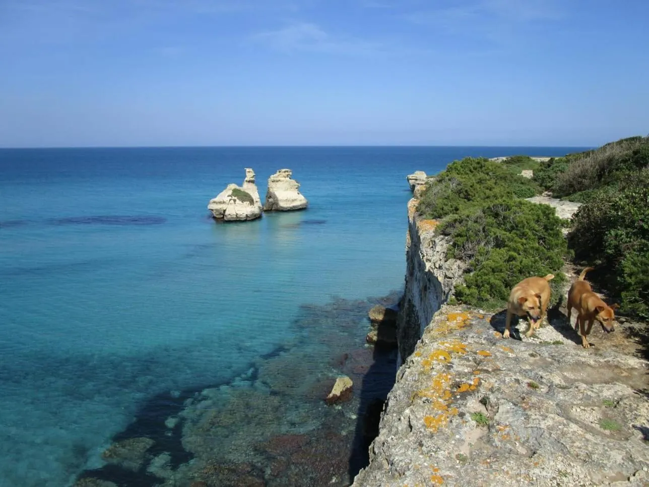 Natural landscape in Casa D'Artista - Le stanze della stupidità