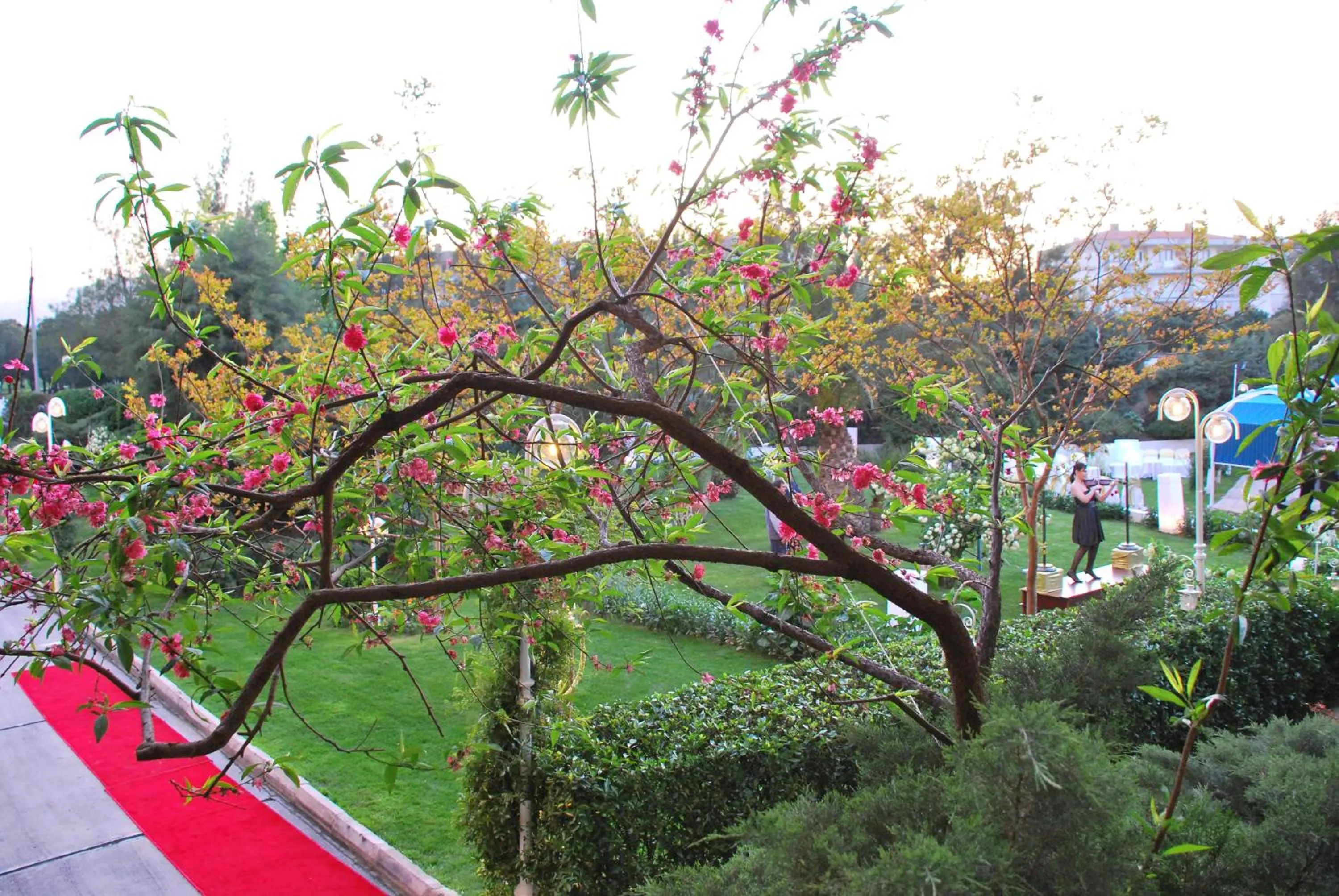 Nearby landmark in Buyuk Saruhan Hotel